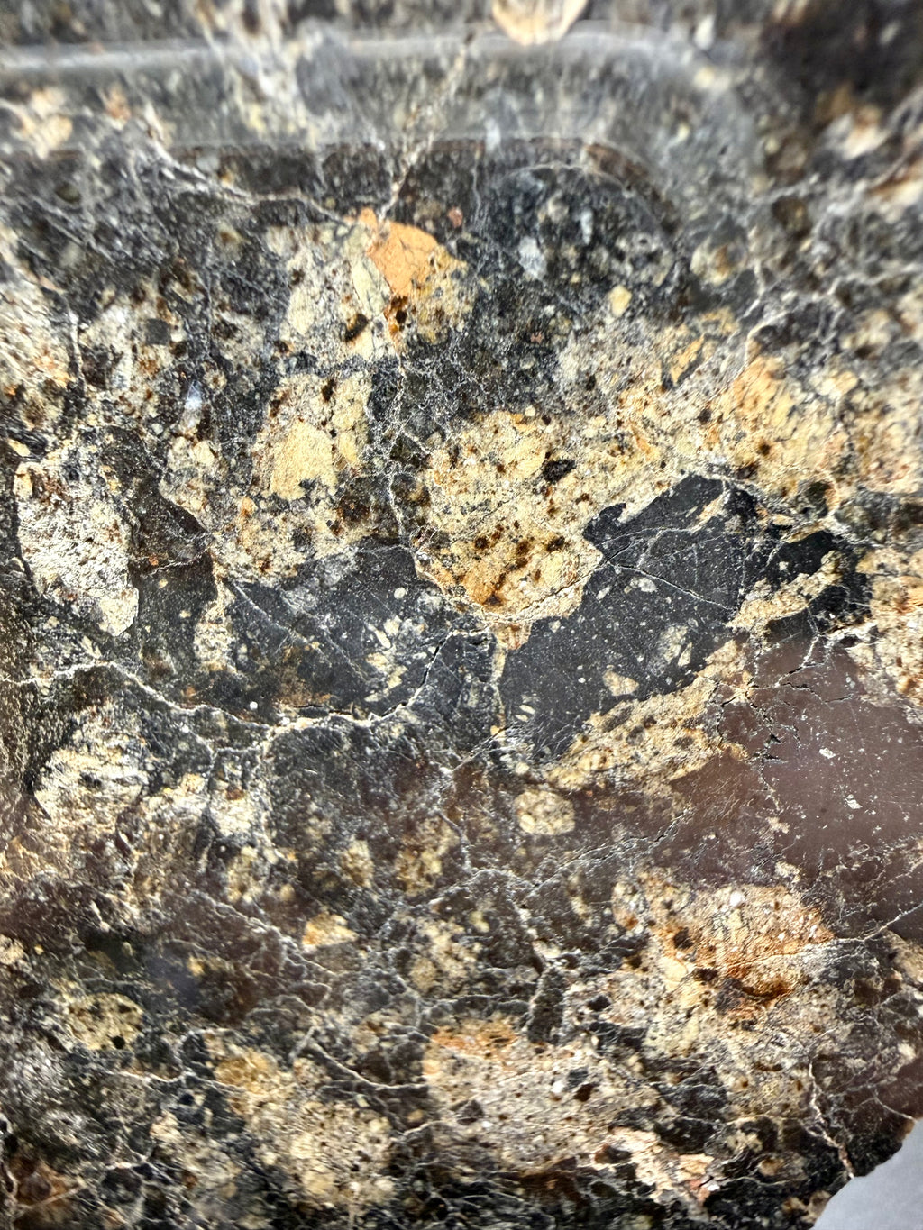 NWA 18048 eucrite meteorite 119.29g -- edge view showing slice thickness and mirror polish depth