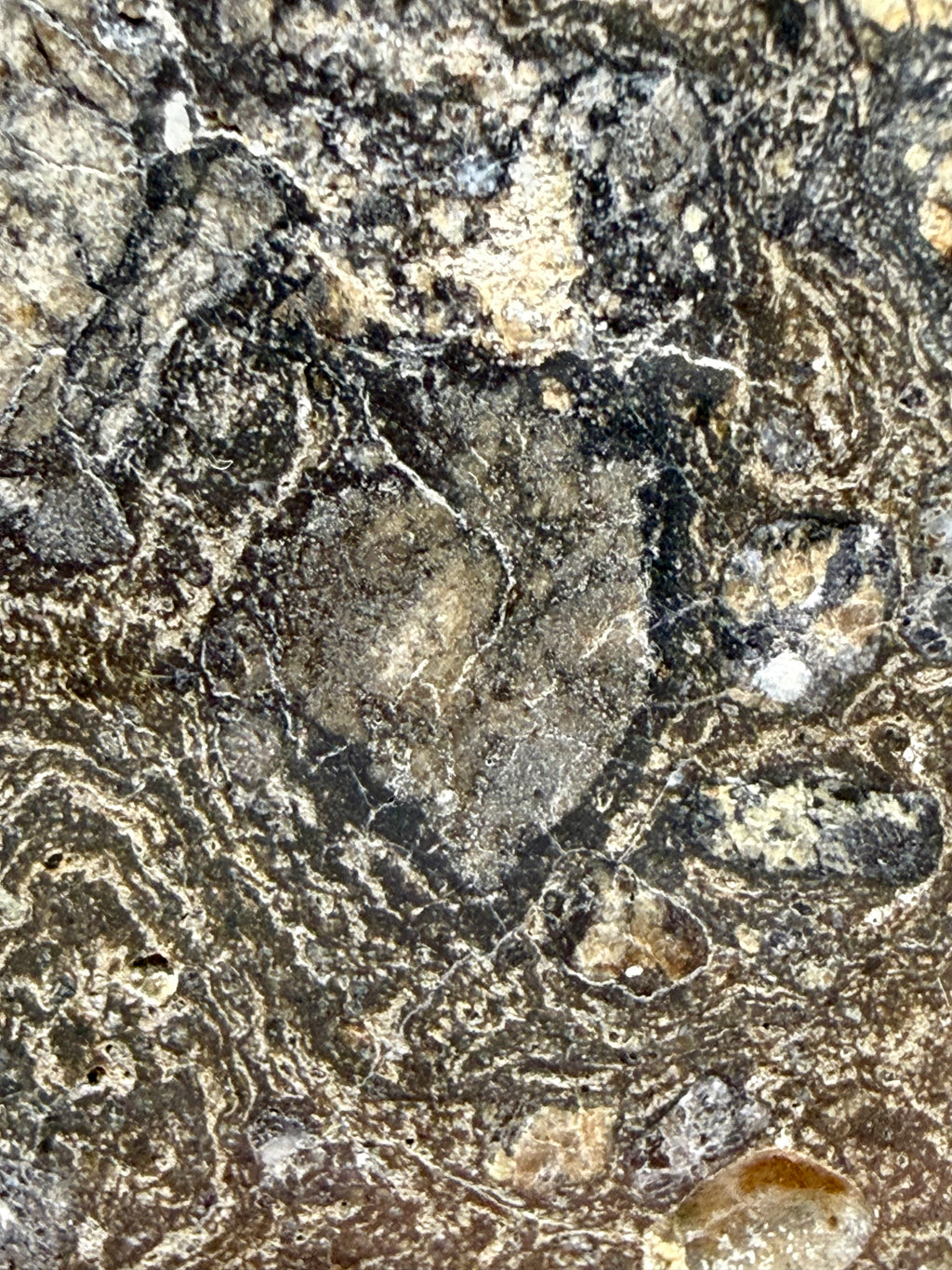 NWA 18048 eucrite-pmict 119.29g -- complex clast arrangement with multiple melt generations visible in cross-section