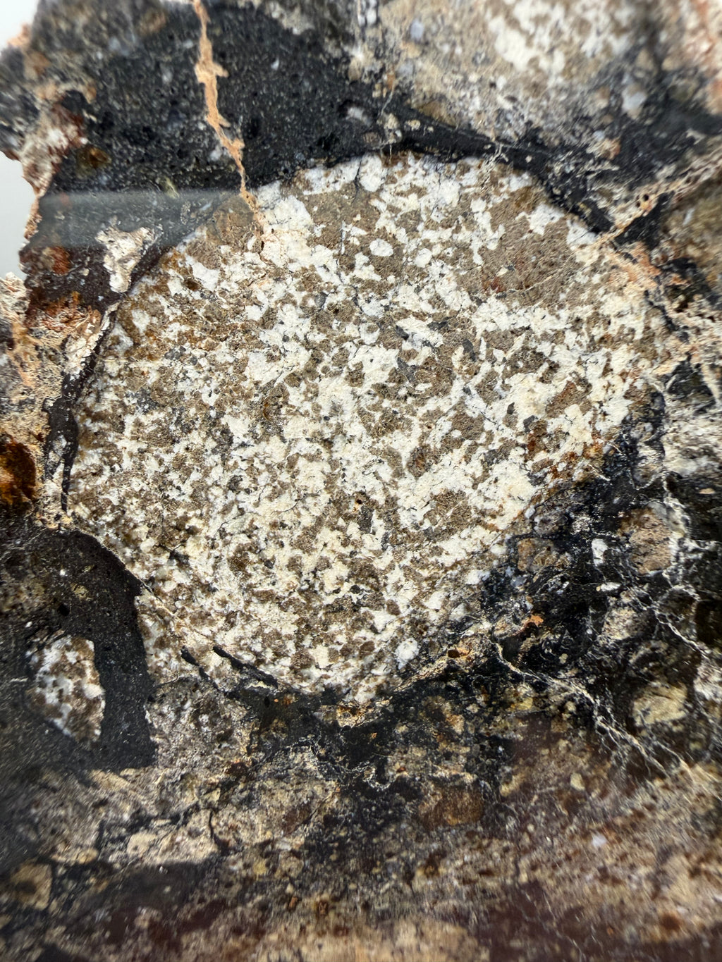 NWA 18048 eucrite meteorite 128.81g -- angular clast shapes and matrix material showing brecciation detail