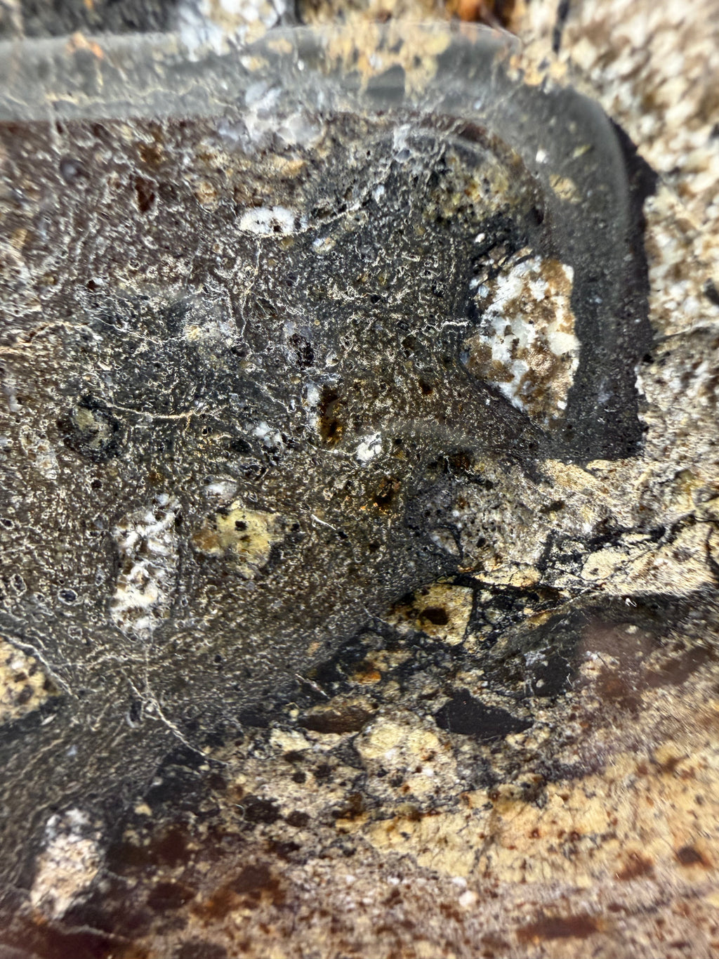 NWA 18048 eucrite meteorite 128.81g -- textural contrast between fine-grained and coarse eucritic clasts