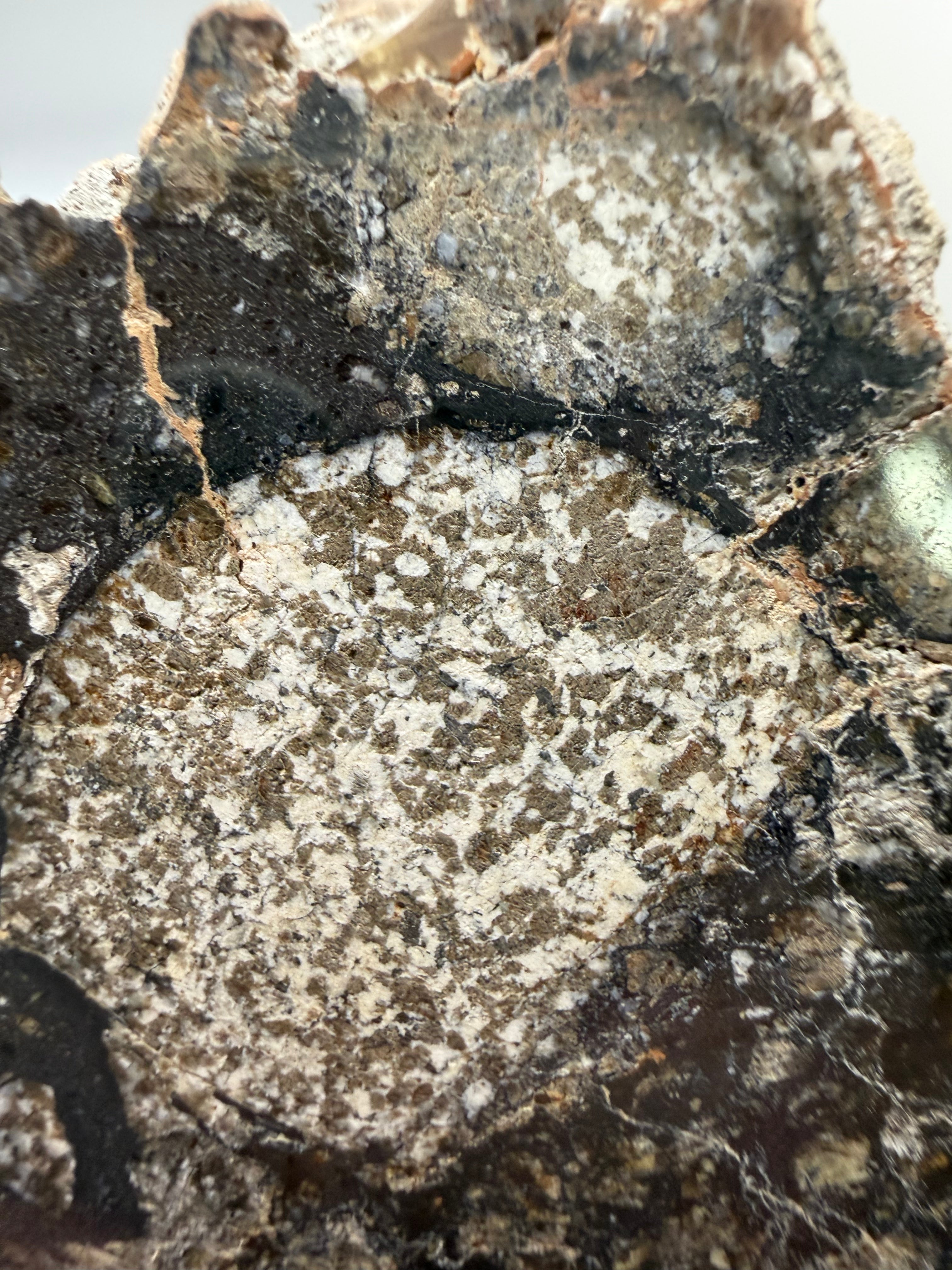 NWA 18048 eucrite meteorite 128.81g -- light and dark eucritic clasts with sharp boundaries under mirror polish