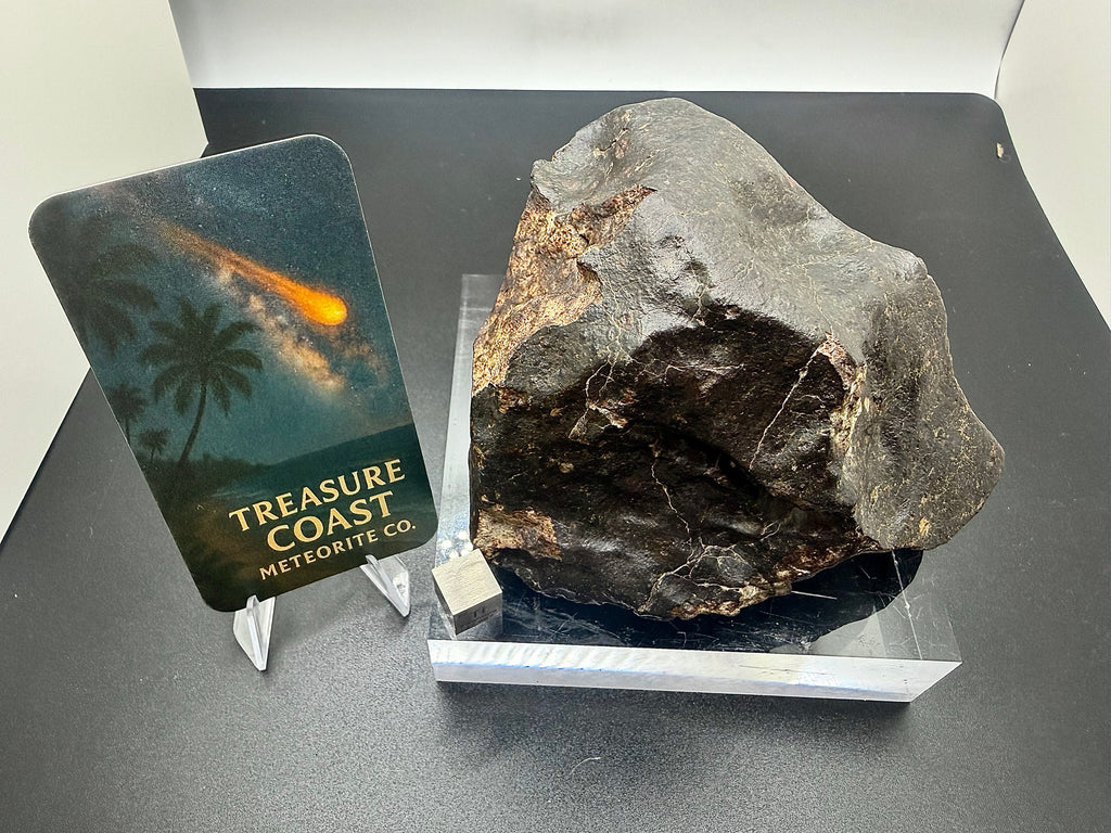 NWA XXX ordinary chondrite 869.00g -- leading surface showing aerodynamic sculpting and glossy fusion crust