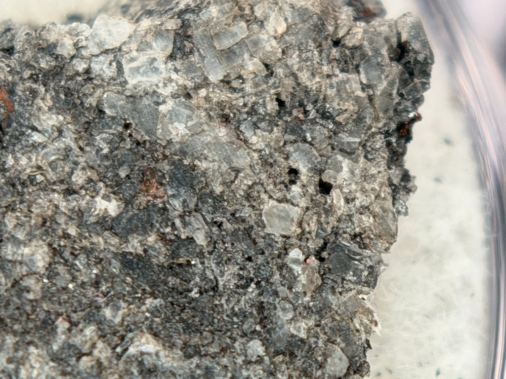 Ksar Ghilane 022 achondrite 2.11g -- coarse pyroxene crystallization texture showing 1.5 mm average grain size in differentia
