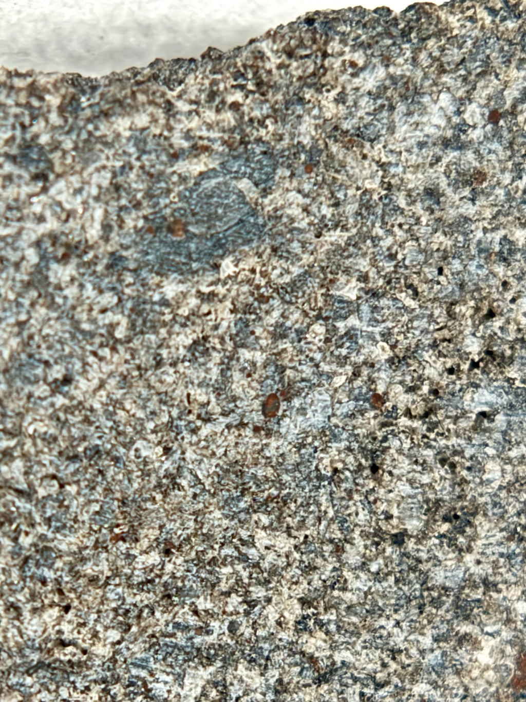 Ksar Ghilane 022 ungrouped achondrite 9.07g -- natural exterior surface showing terrestrial weathering and calcite veining