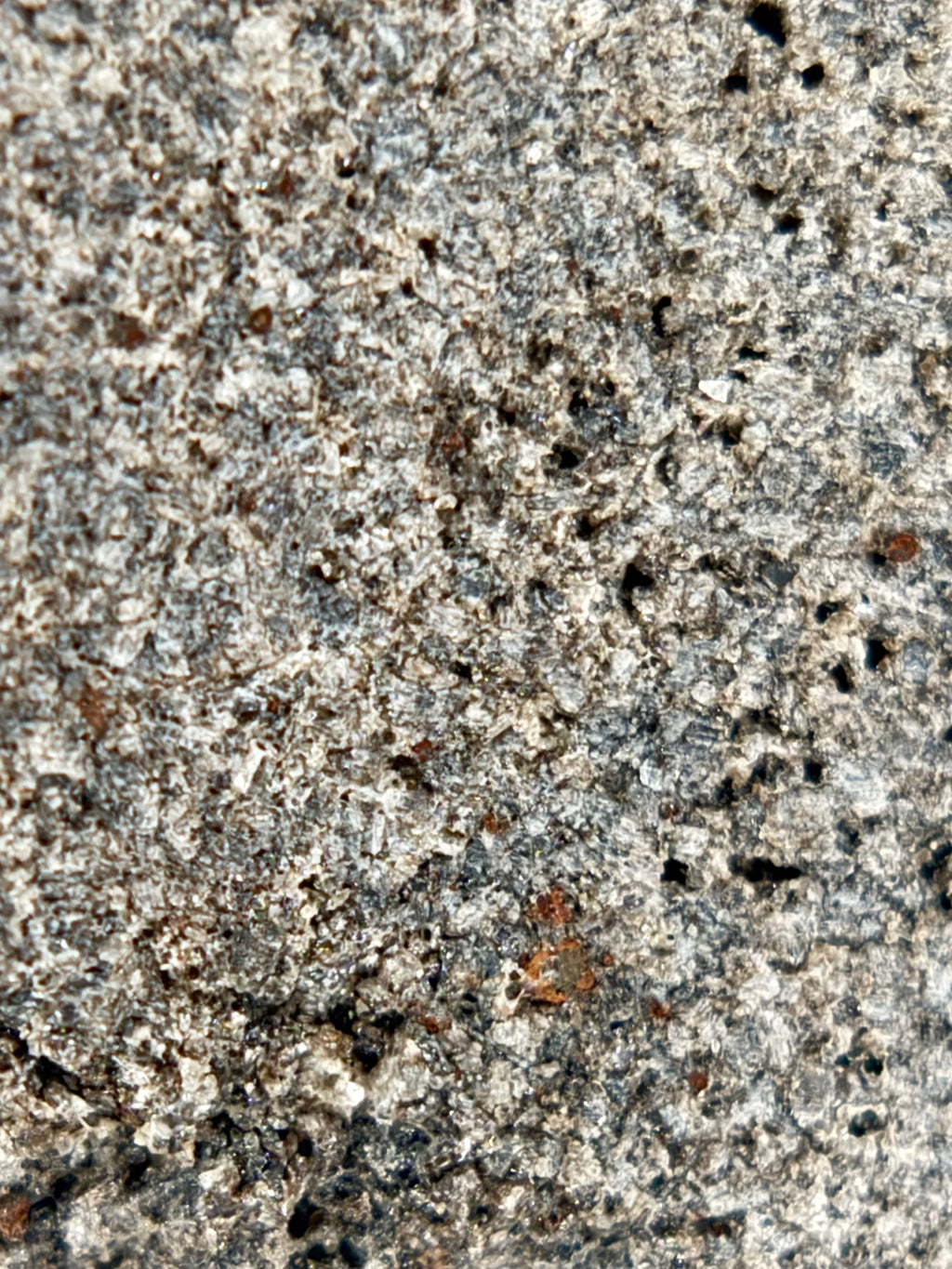 Ksar Ghilane 022 meteorite 9.07g -- accessory sulfide phases and augite-dominated mineral assemblage detail