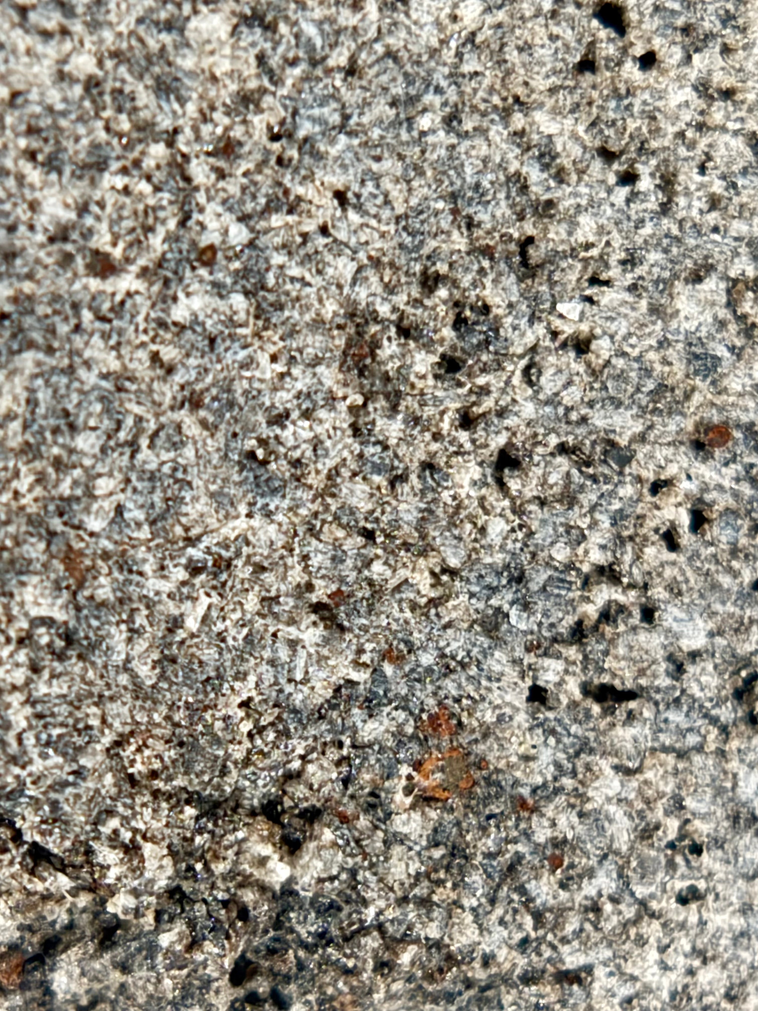 Ksar Ghilane 022 meteorite 9.07g -- accessory sulfide phases and augite-dominated mineral assemblage detail