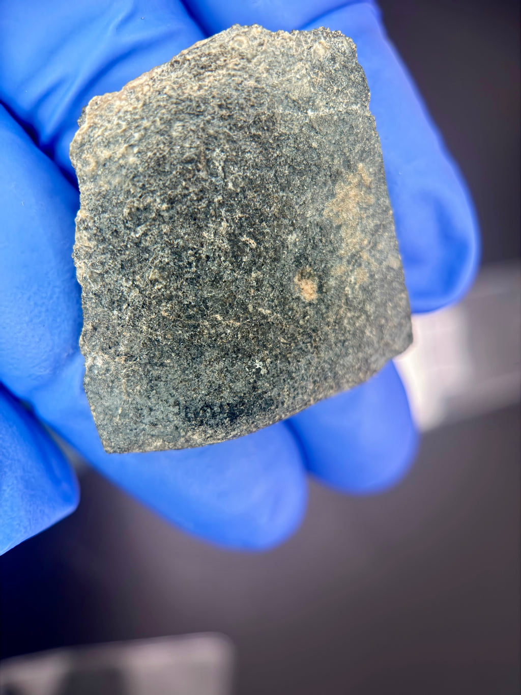 Ksar Ghilane 022 achondrite 9.07g -- coarse augite crystals and minor enstatite in polished cross-section