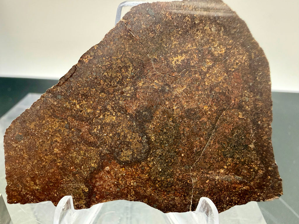 NWA 17916 CO3 chondrite 13.67g -- tightly packed small chondrules in dark carbon-rich matrix