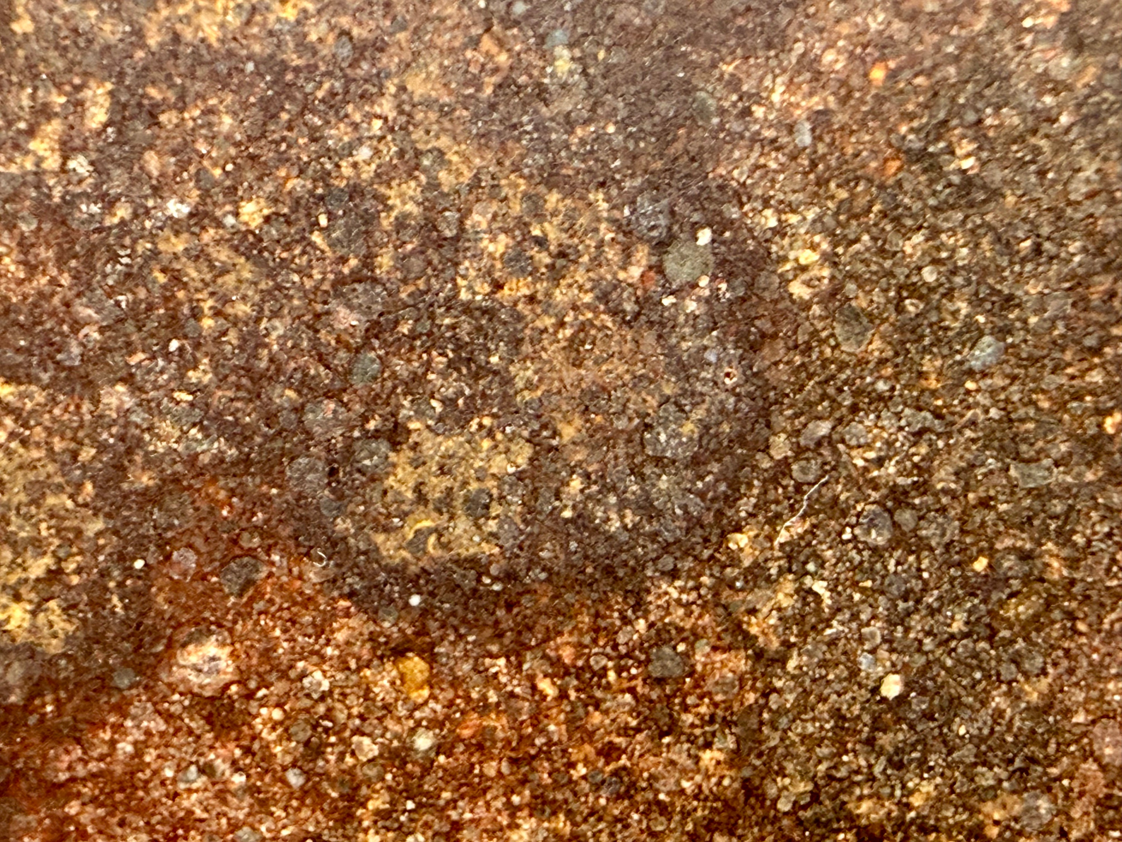 close up of CO3 meteorite, showing matrix and chondrules