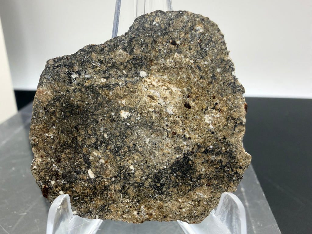 NWA 17918 diogenite-pm meteorite slice 9.29g -- HED achondrite from asteroid 4 Vesta, Treasure Coast Meteorite Co.