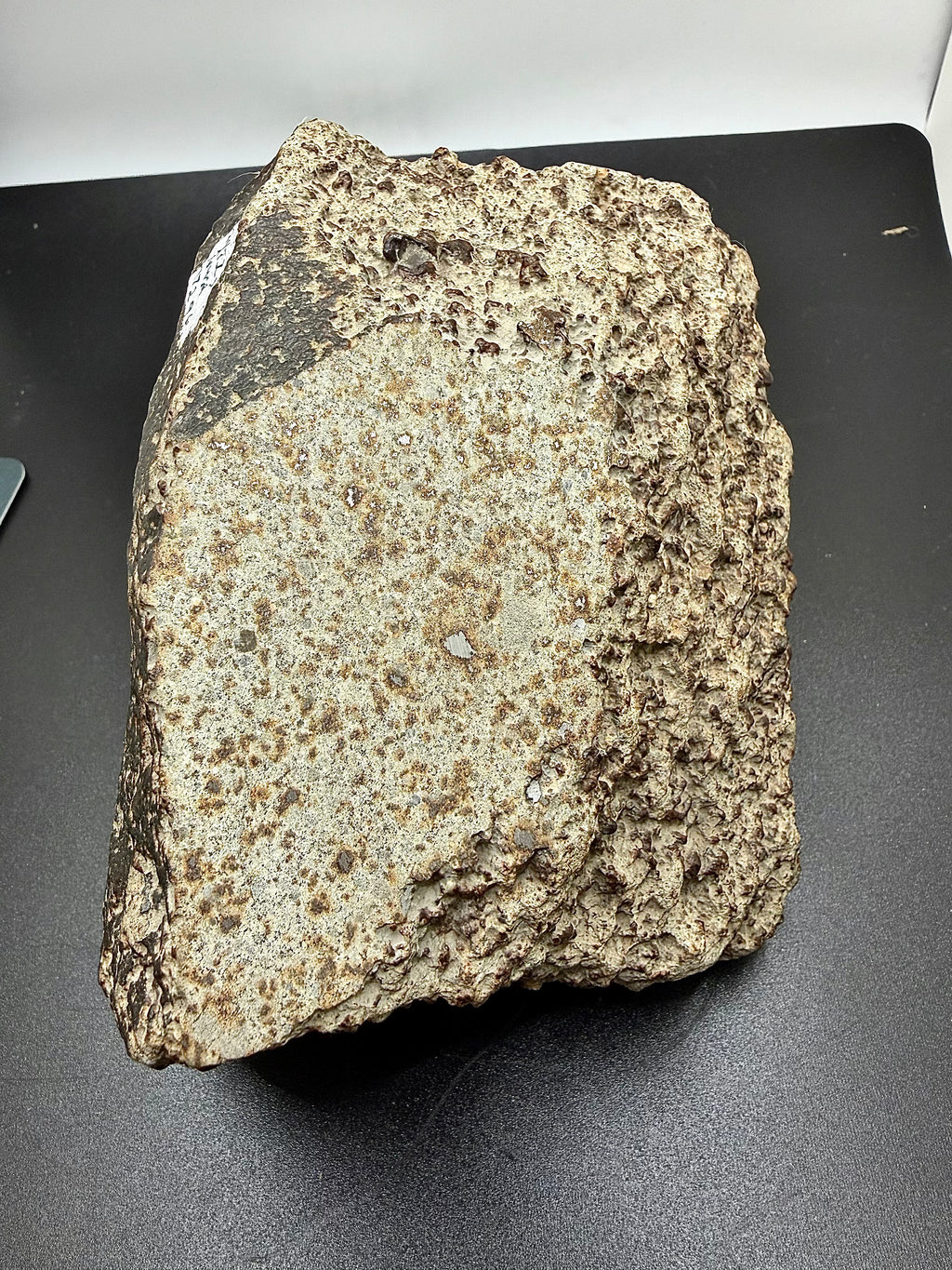 NWA 17296 ordinary chondrite 1472.00g -- lateral profile showing aerodynamic shaping
