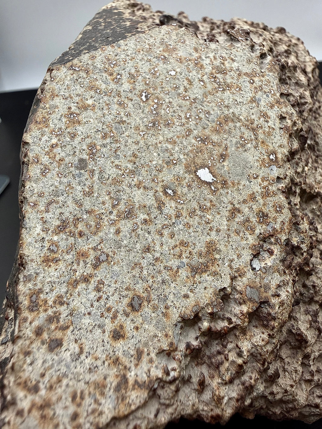 NWA 17296 meteorite 1472.00g -- glossy fusion crust detail with minimal weathering