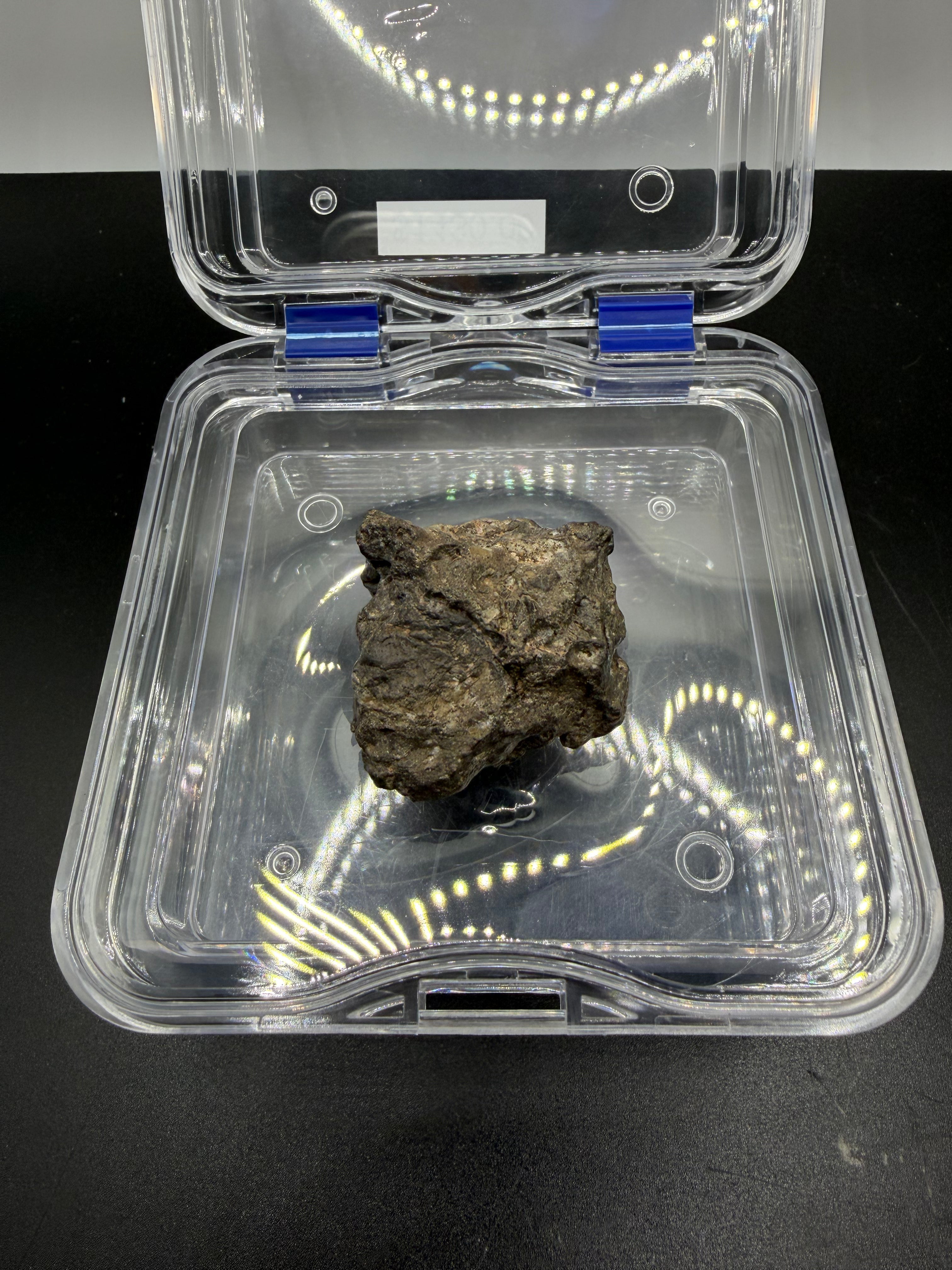 Laayoune 002 lunar meteorite 31.95g complete individual specimen showing natural fusion crust and feldspathic breccia texture