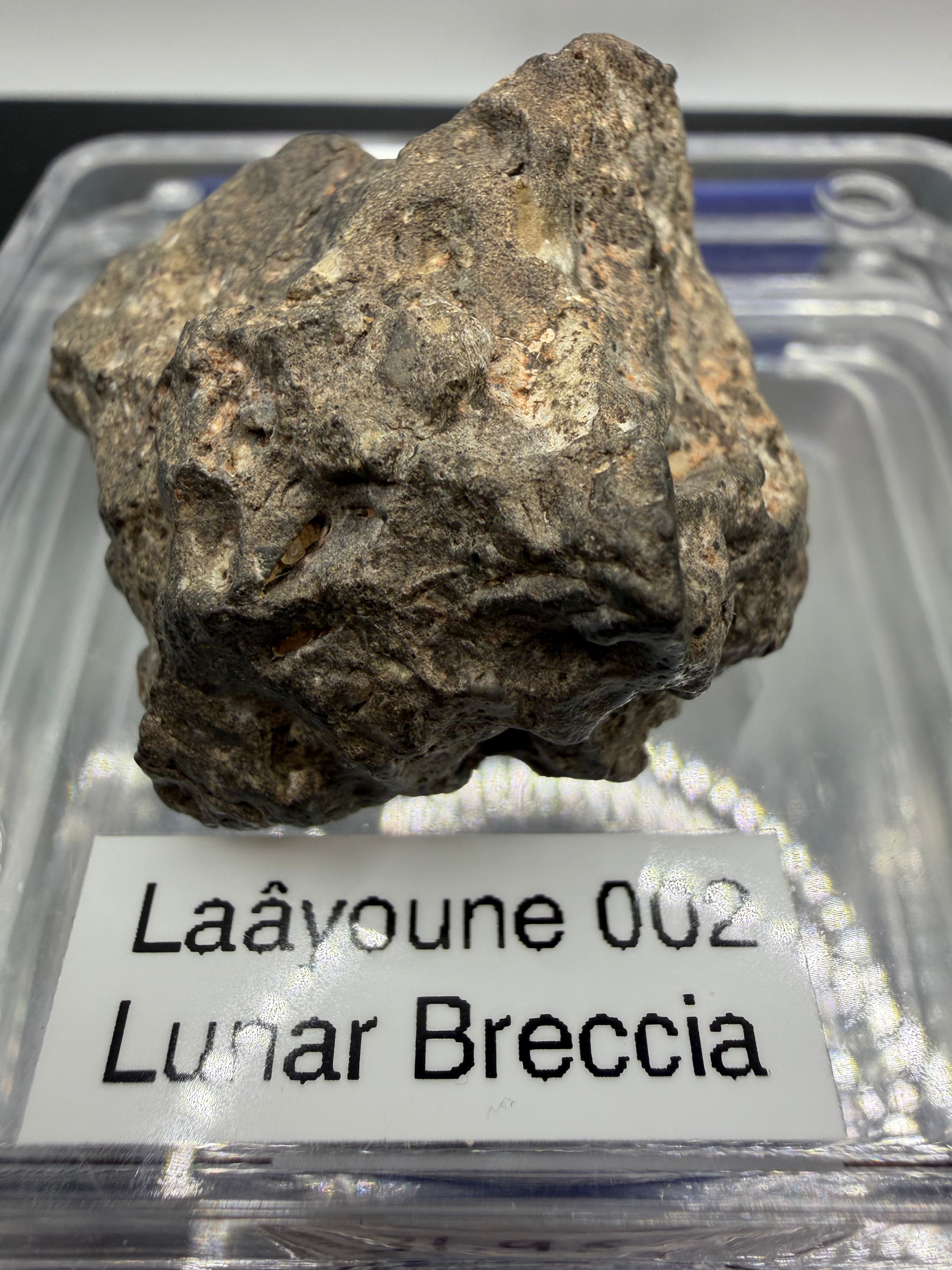 Laayoune 002 feldspathic breccia 31.95g -- surface detail showing angular anorthositic fragments from lunar highlands