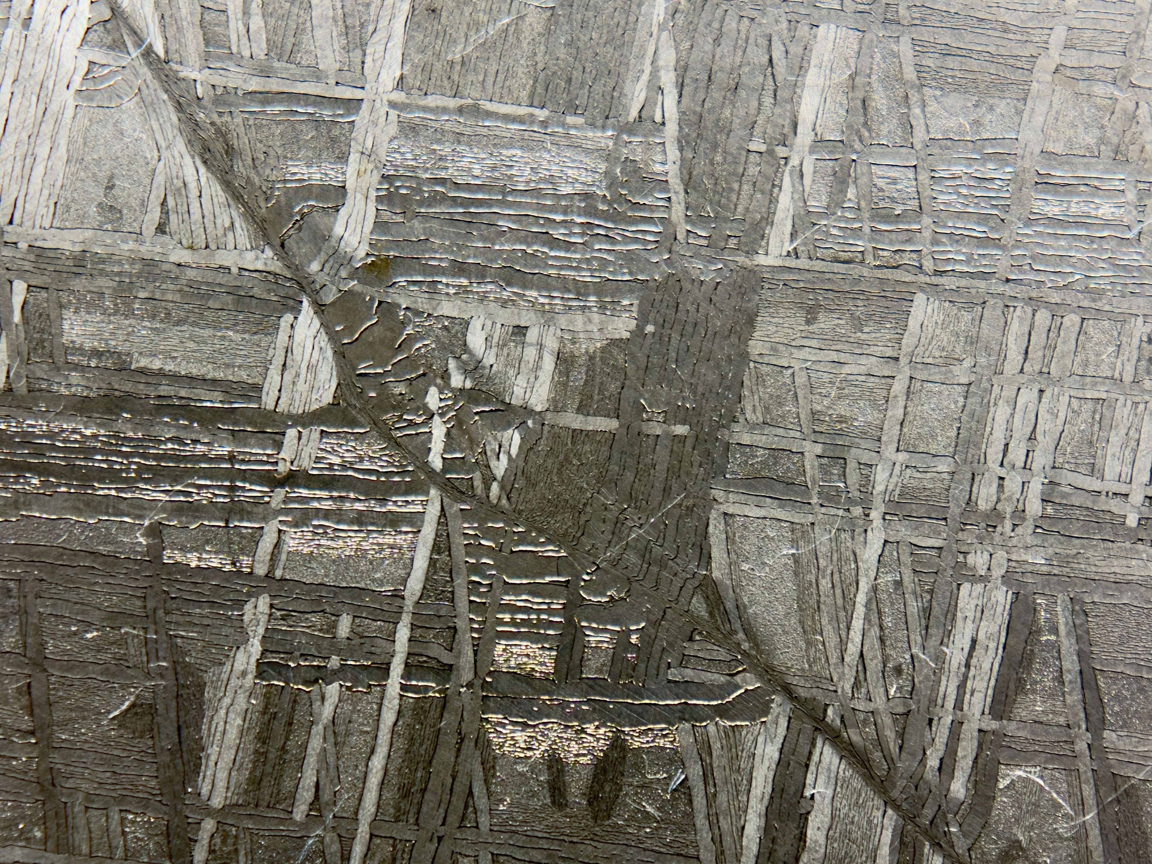 Muonionalusta iron meteorite 292.00g -- edge view showing slice thickness and continuous pattern throughout cross section