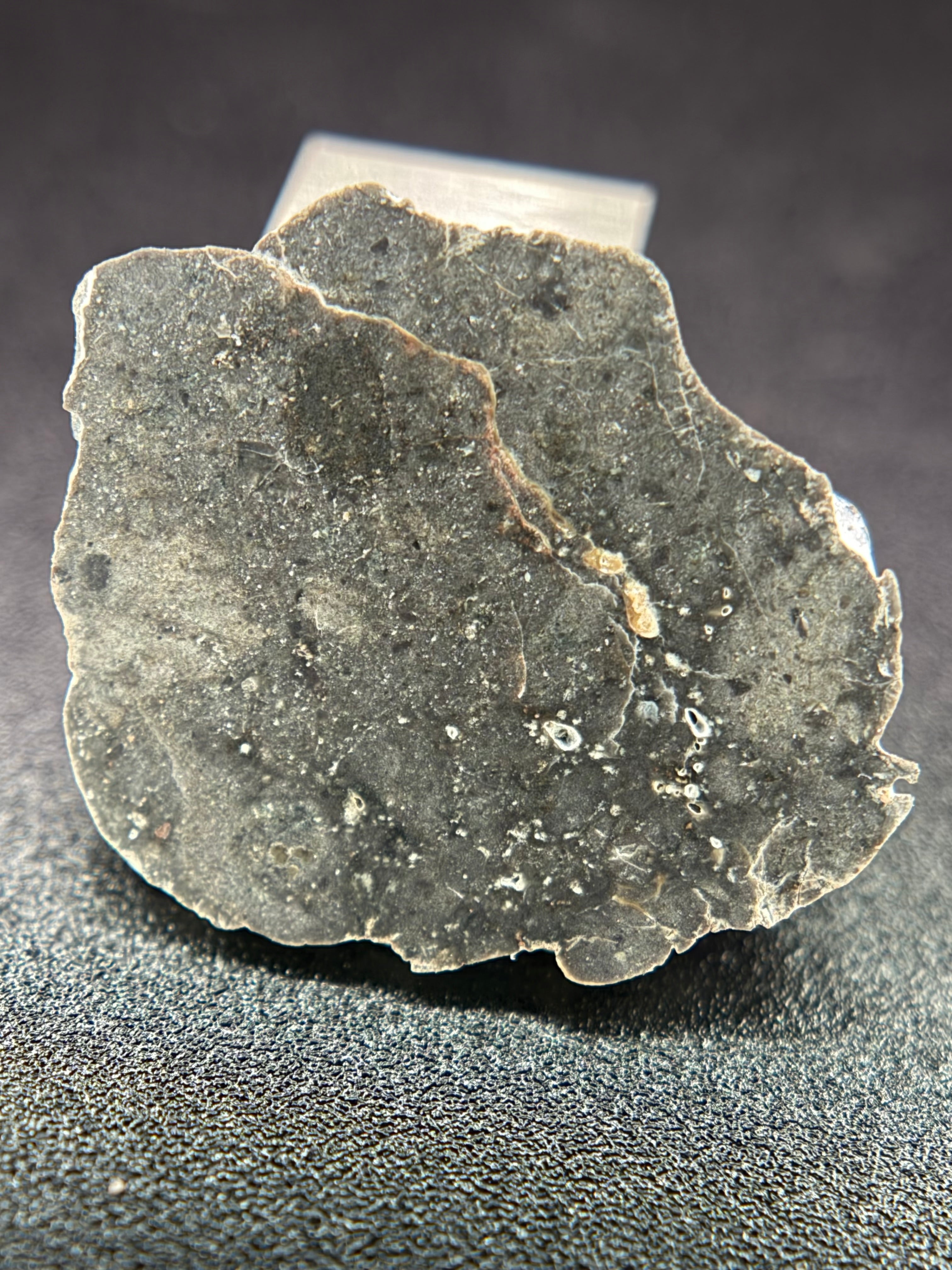 NWA 17706 Lunar Meteorite Full Slices, Troctolitic Anorthosite Melt Breccia, Multiple Weights Available