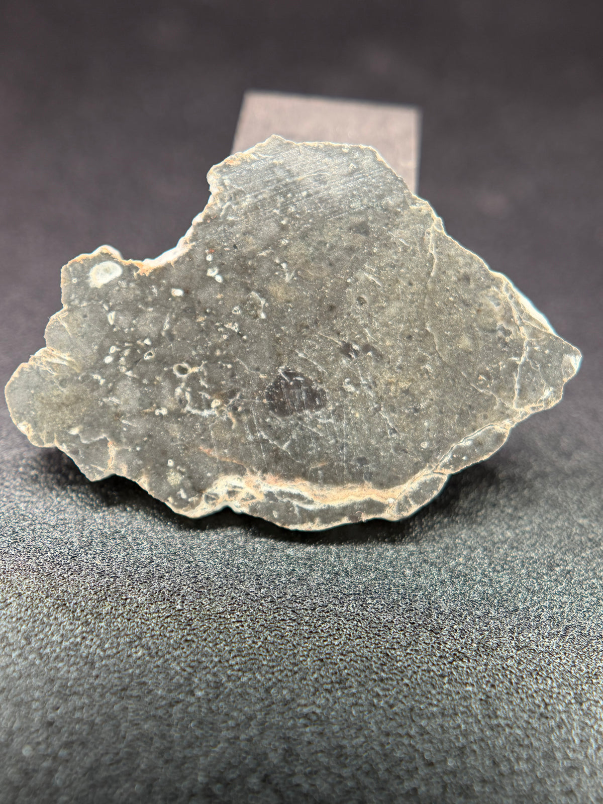 NWA 17706 Lunar Meteorite Full Slices, Troctolitic Anorthosite Melt Breccia, Multiple Weights Available