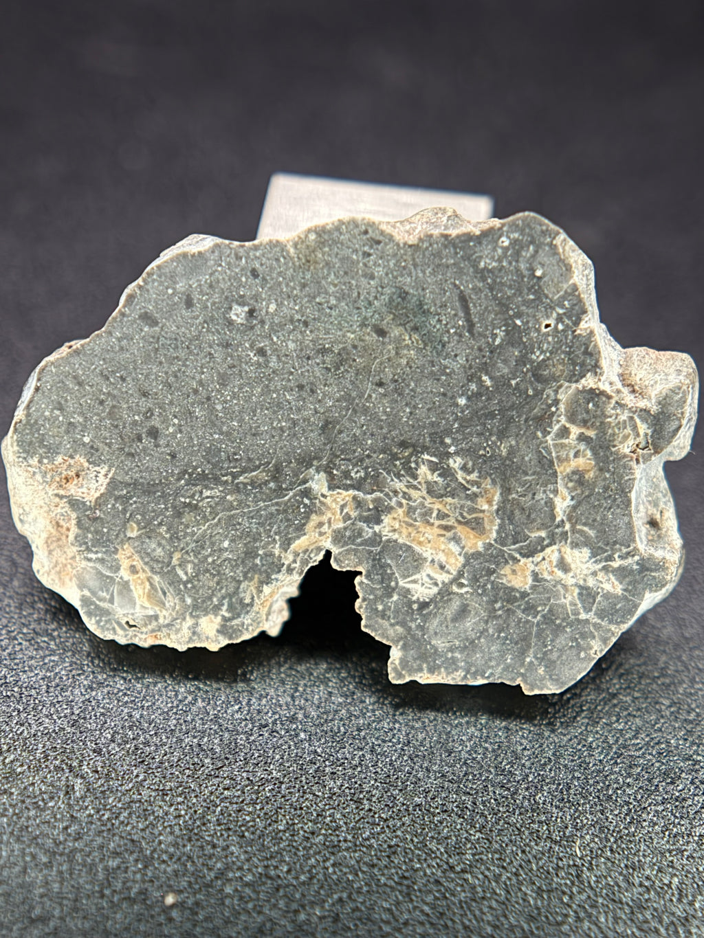 NWA 17706 Lunar Meteorite Full Slices, Troctolitic Anorthosite Melt Breccia, Multiple Weights Available