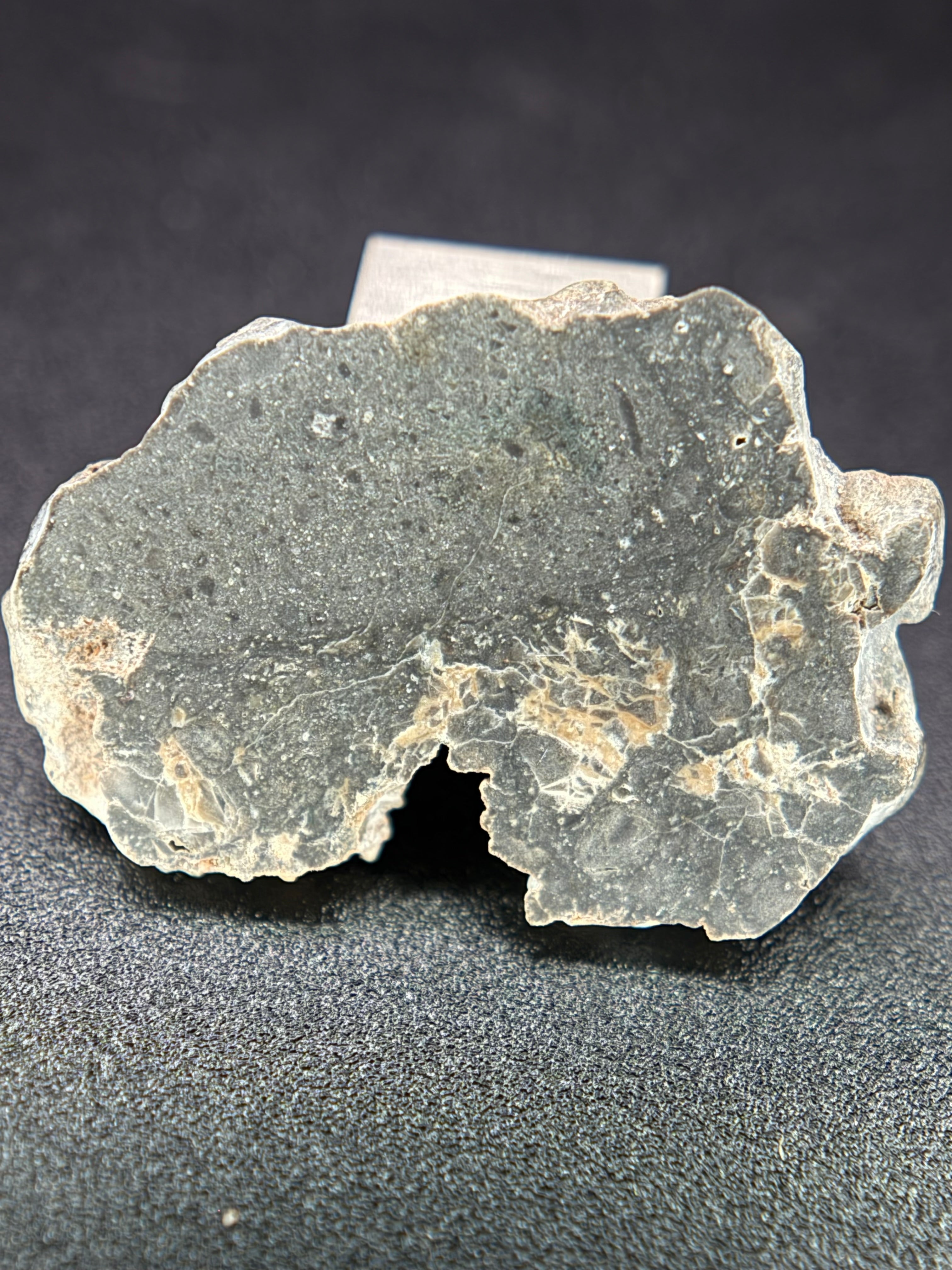 NWA 17706 Lunar Meteorite Full Slices, Troctolitic Anorthosite Melt Breccia, Multiple Weights Available
