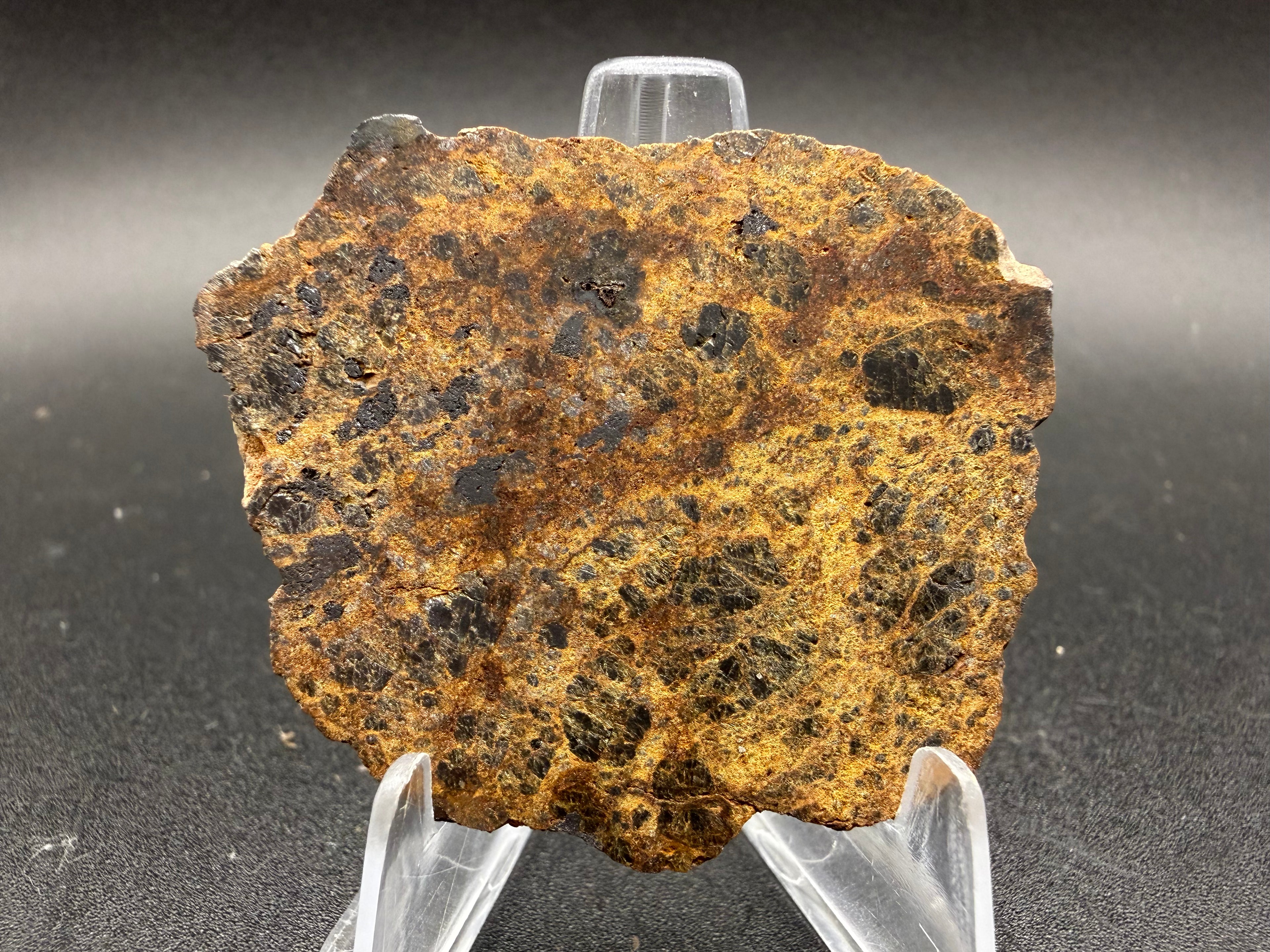 NWA 18591 Diogenit Meteorit vollständige Scheiben, HED Achondrit, Olivin-haltig von Vesta, verschiedene Gewichte verfügbar