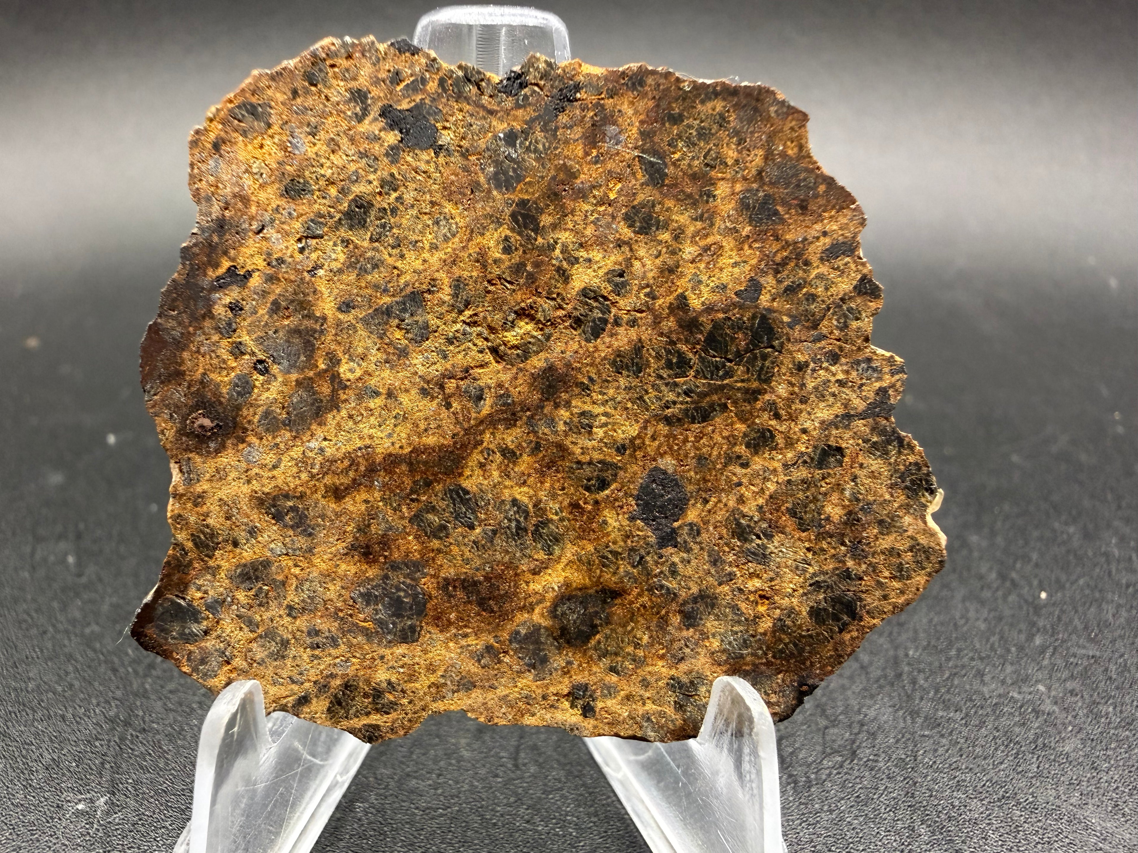 NWA 18591 Diogenit Meteorit vollständige Scheiben, HED Achondrit, Olivin-haltig von Vesta, verschiedene Gewichte verfügbar