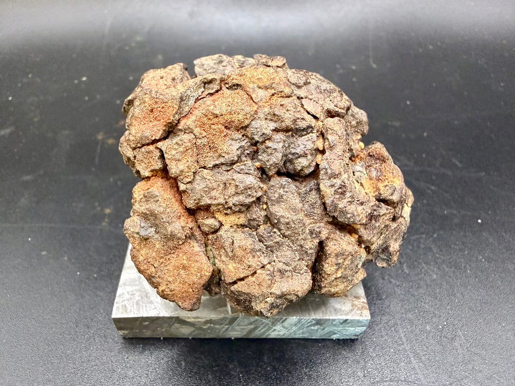 Top view of NWA 18592 Mesosiderite Meteorite showing brecciated surface texture with angular silicate and metal-rich clasts, 161g