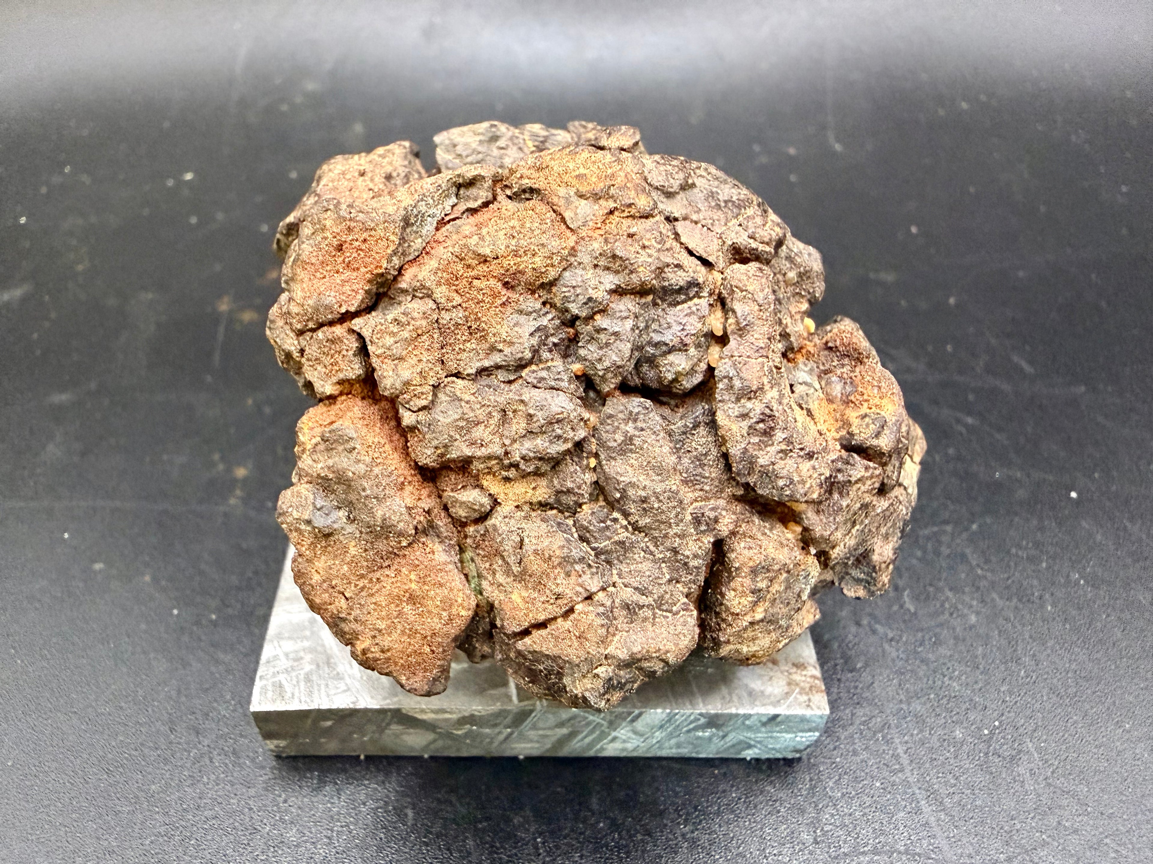 Top view of NWA 18592 Mesosiderite Meteorite showing brecciated surface texture with angular silicate and metal-rich clasts, 161g