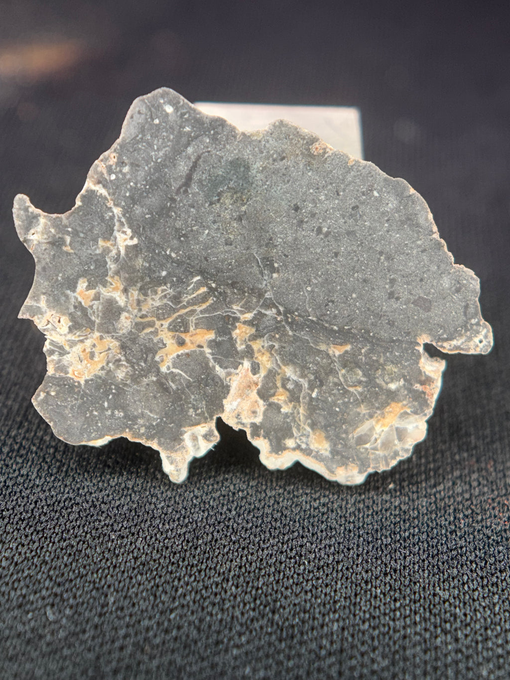 NWA 17706 Mondmeteorit Vollscheiben, troktolithische Anorthosit-Schmelzbrekzie, verschiedene Gewichte verfügbar