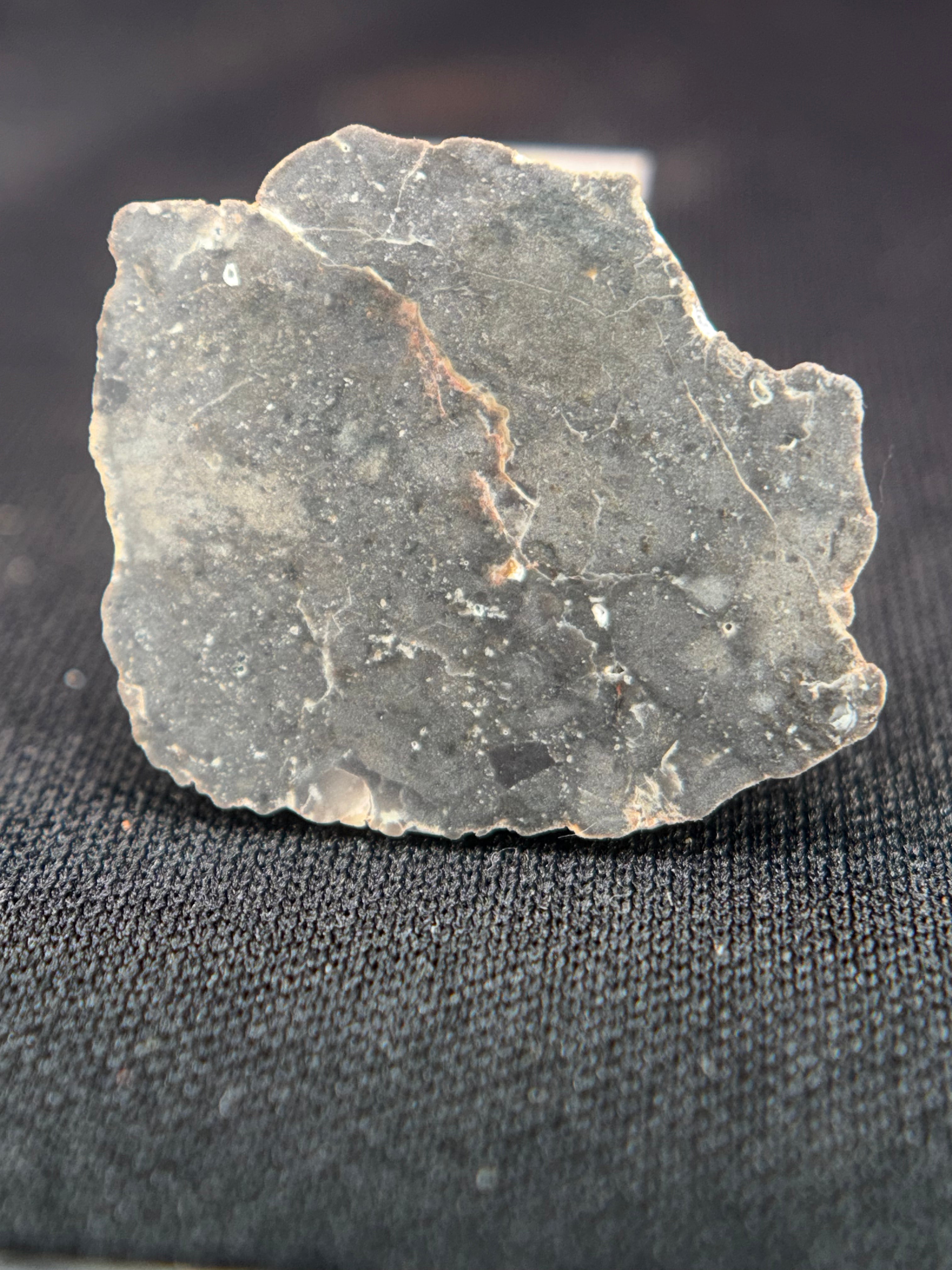 NWA 17706 Lunar Meteorite Full Slices, Troctolitic Anorthosite Melt Breccia, Multiple Weights Available