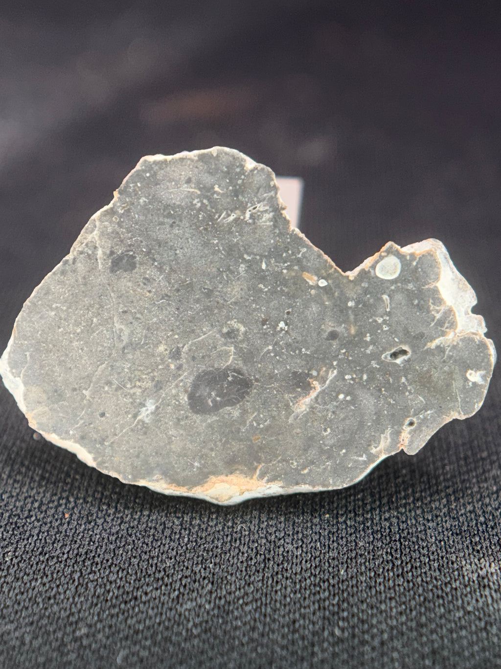 NWA 17706 Lunar Meteorite Full Slices, Troctolitic Anorthosite Melt Breccia, Multiple Weights Available