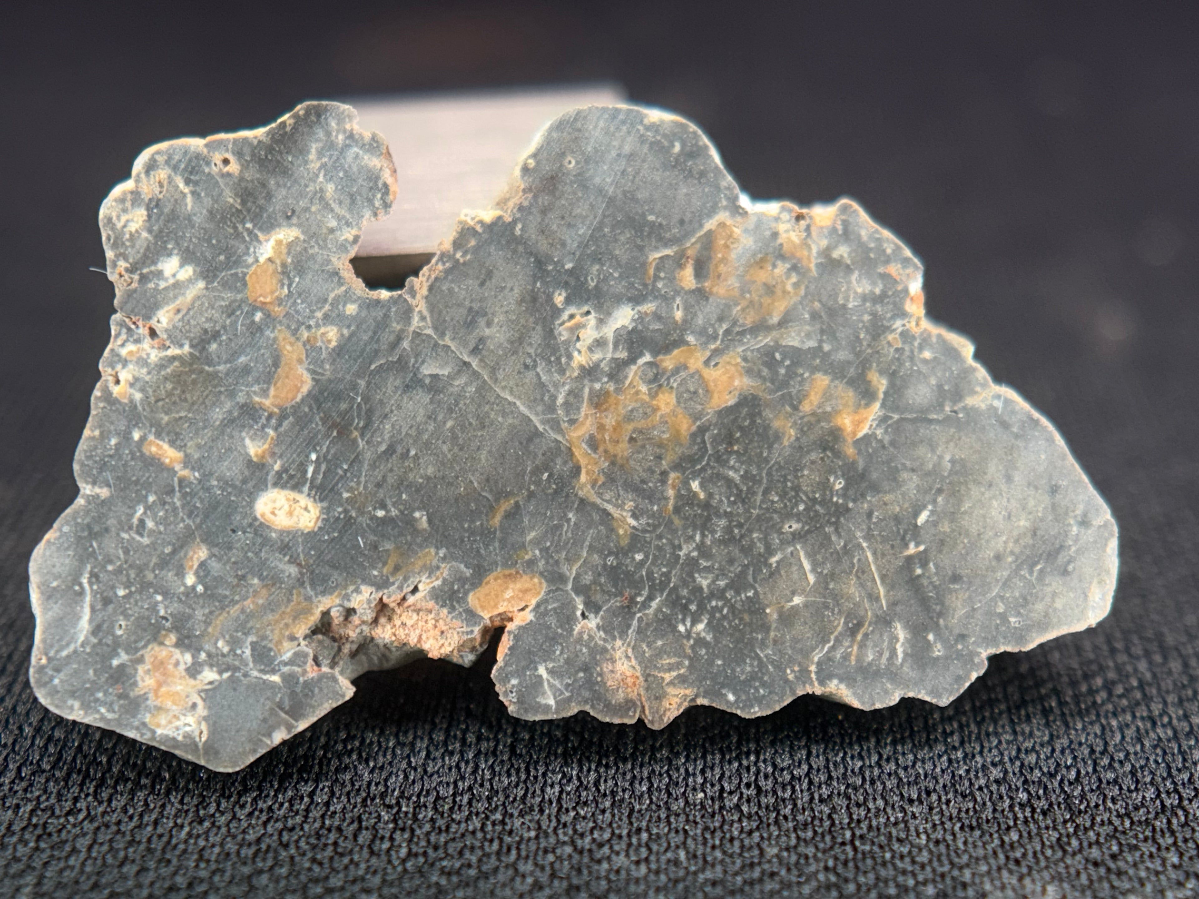 NWA 17706 Lunar Meteorite Full Slices, Troctolitic Anorthosite Melt Breccia, Multiple Weights Available