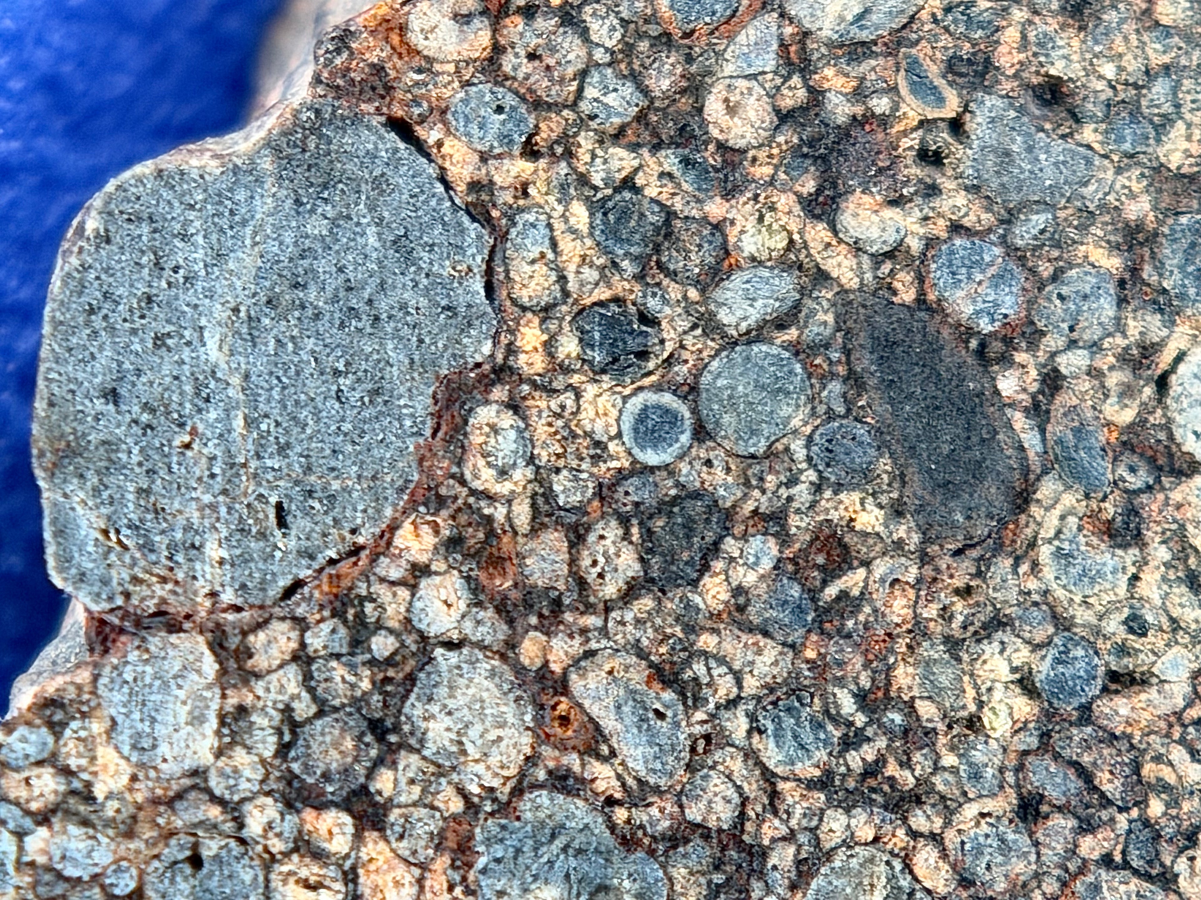 Detailed macro view of chondrules and mineral patterns in NWA 17364 interior section.