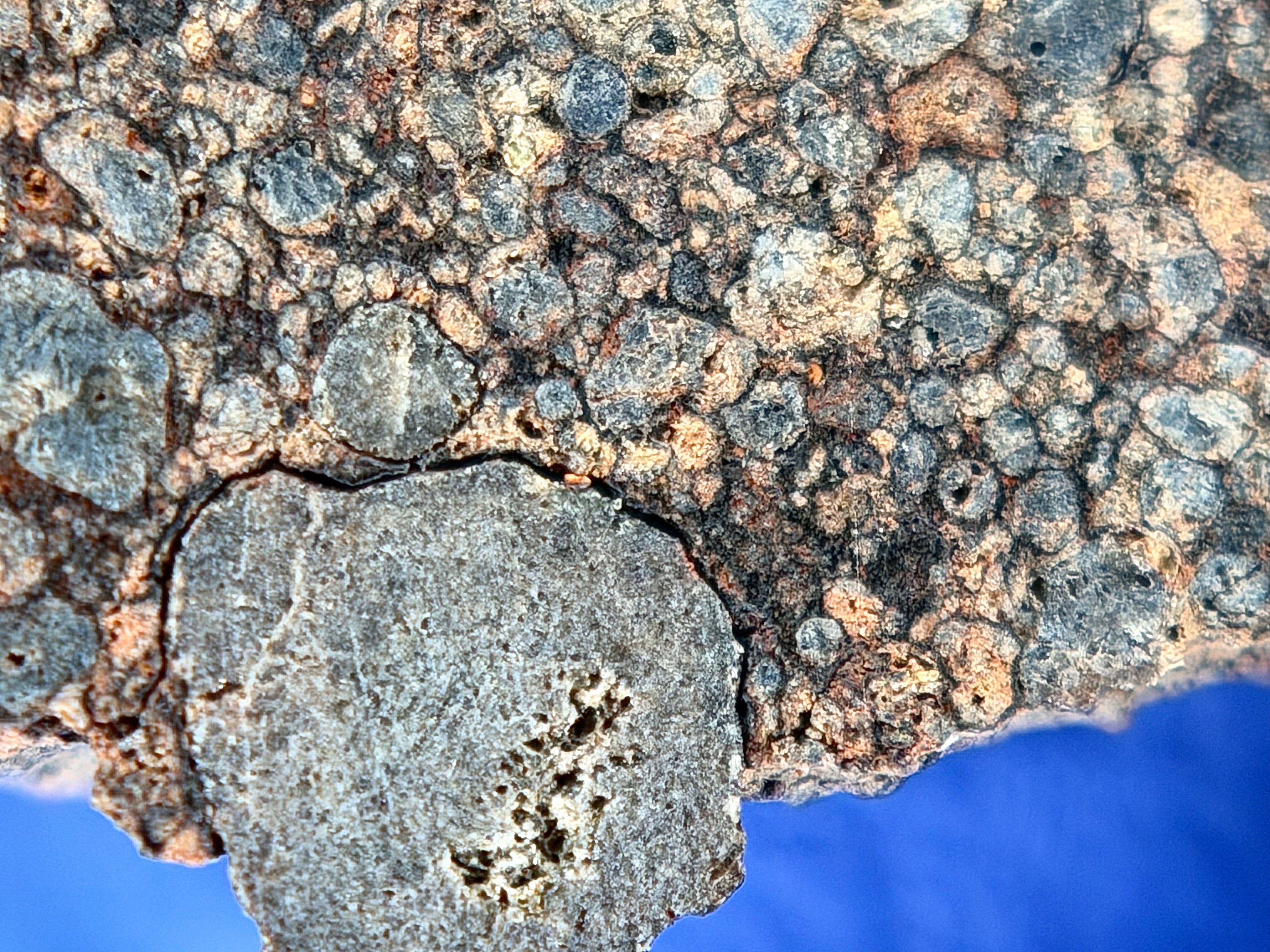 Close-up macro image of chondrules and fine matrix textures in NWA 17364 interior.