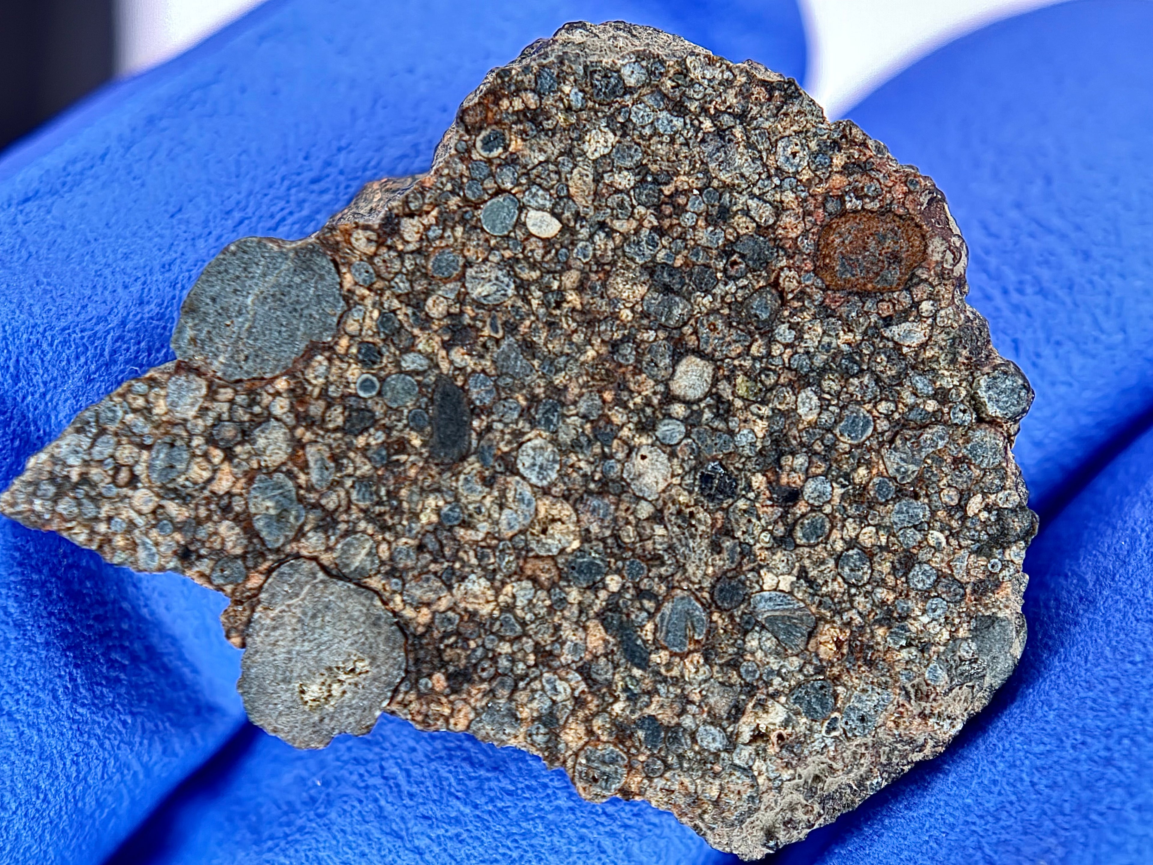 Cut face profile of NWA 17364 specimen held in gloved hand showing pristine chondrules