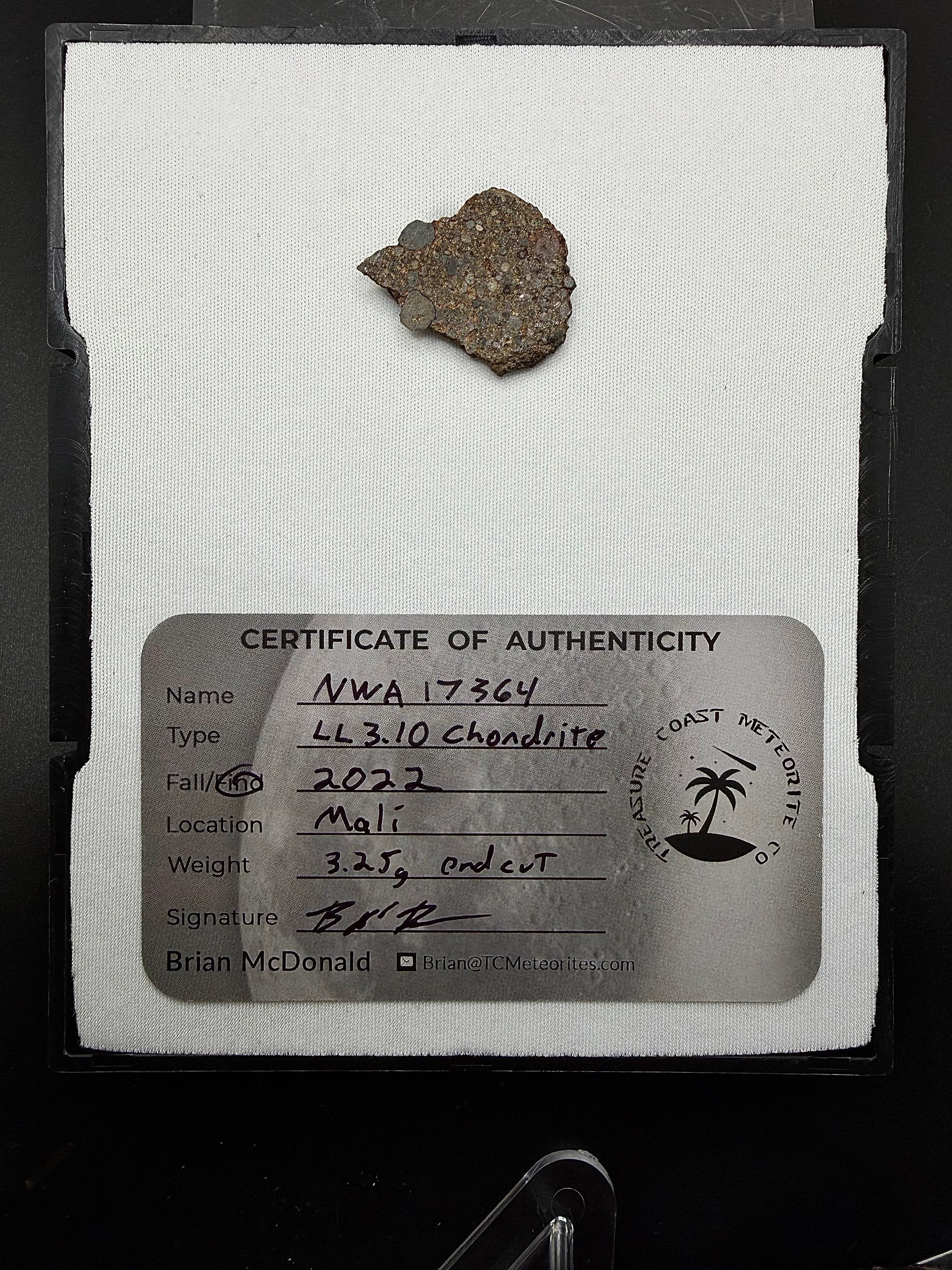 Photograph of NWA 17364 meteorite mounted in display case with certificate of authenticity visible below specimen.