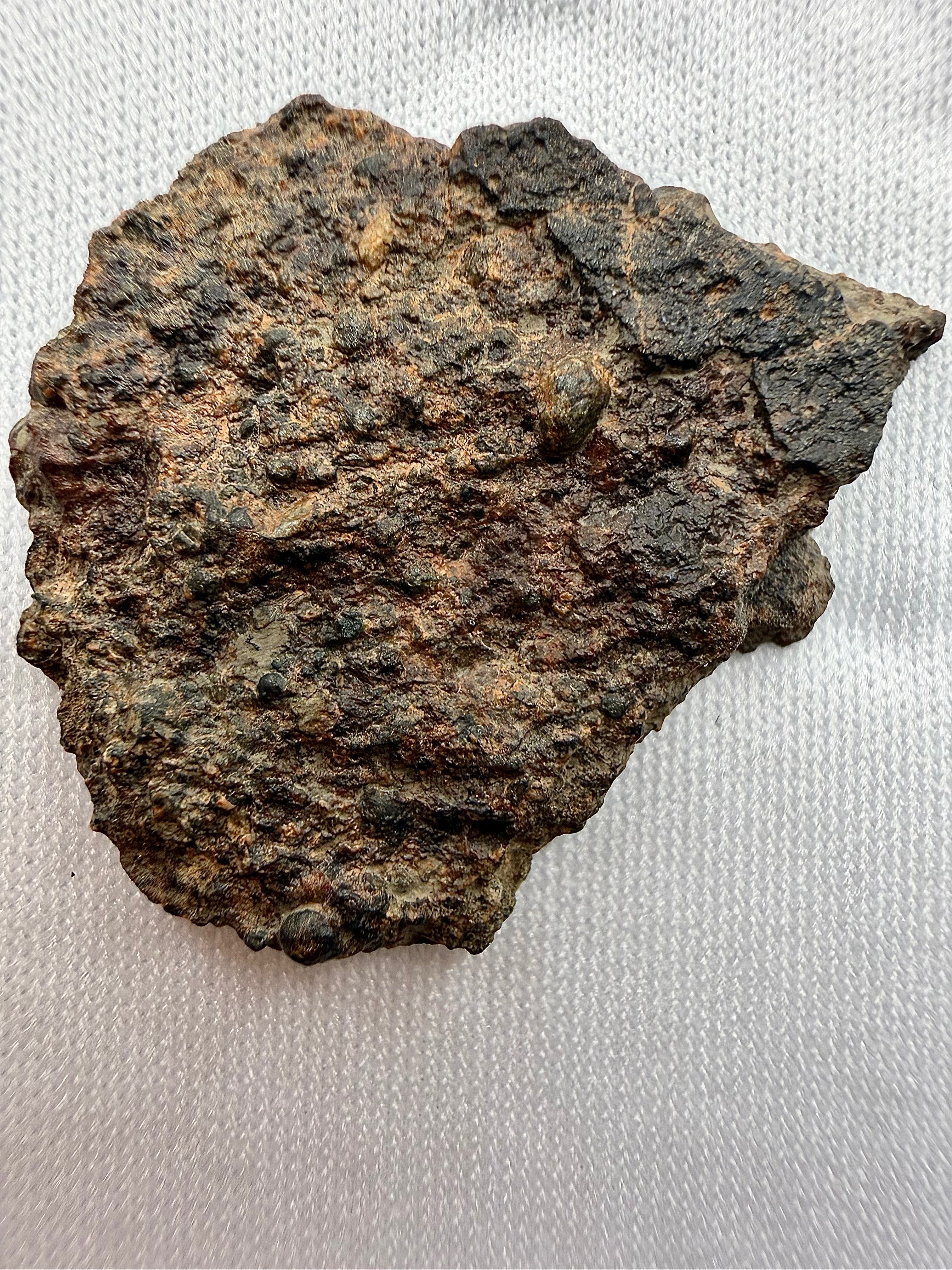 Close-up view of unmounted NWA 17364 showing natural crust and texture on raw surface