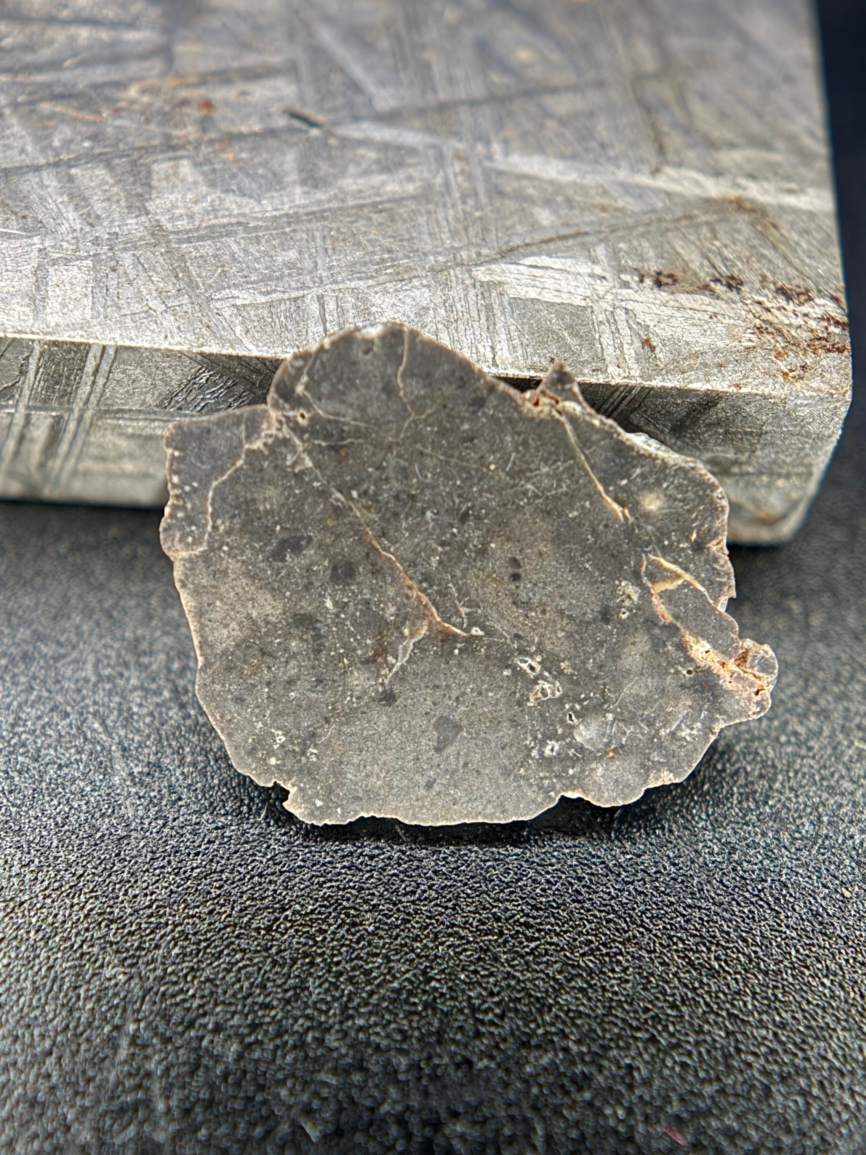 NWA 17706 Mondmeteorit Vollscheiben, troktolithische Anorthosit-Schmelzbrekzie, verschiedene Gewichte verfügbar