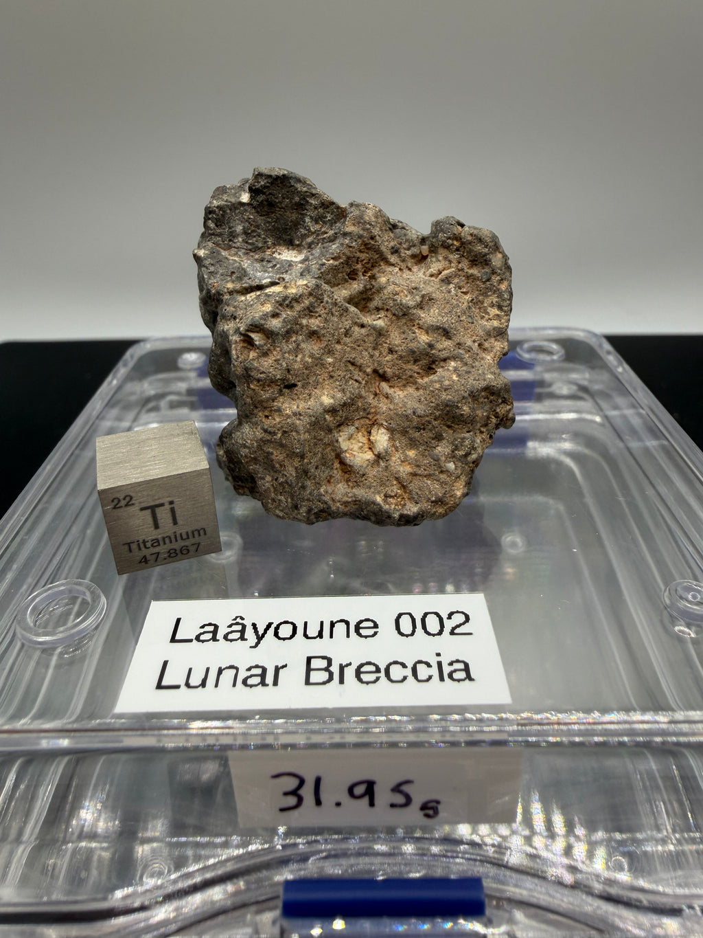 Laayoune 002 lunar meteorite 31.95g -- anorthositic clasts in feldspathic breccia matrix showing pale highland coloration