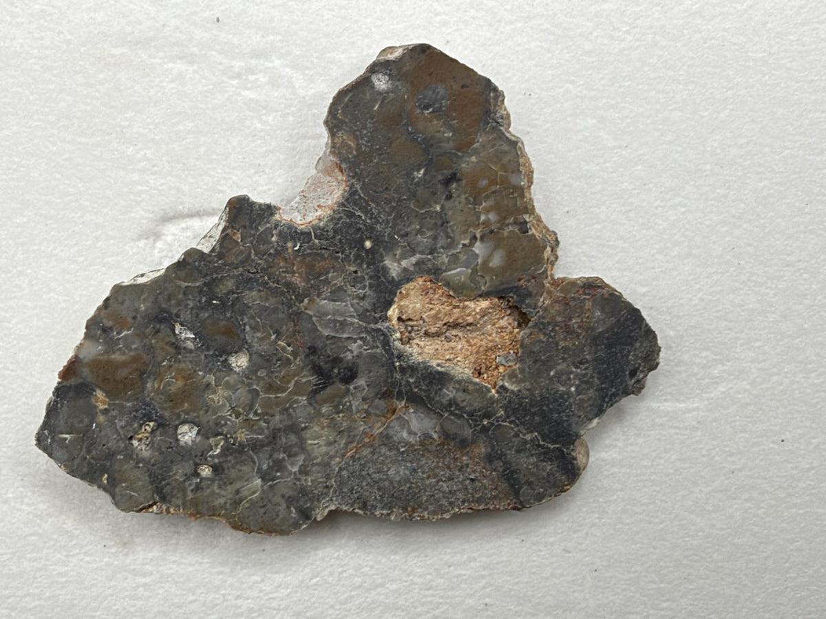 Adrar 013 lunar melt breccia slice, 10.52 g, polished face with gray and tan clasts and a rough, unpolished tan area right of center, on white background