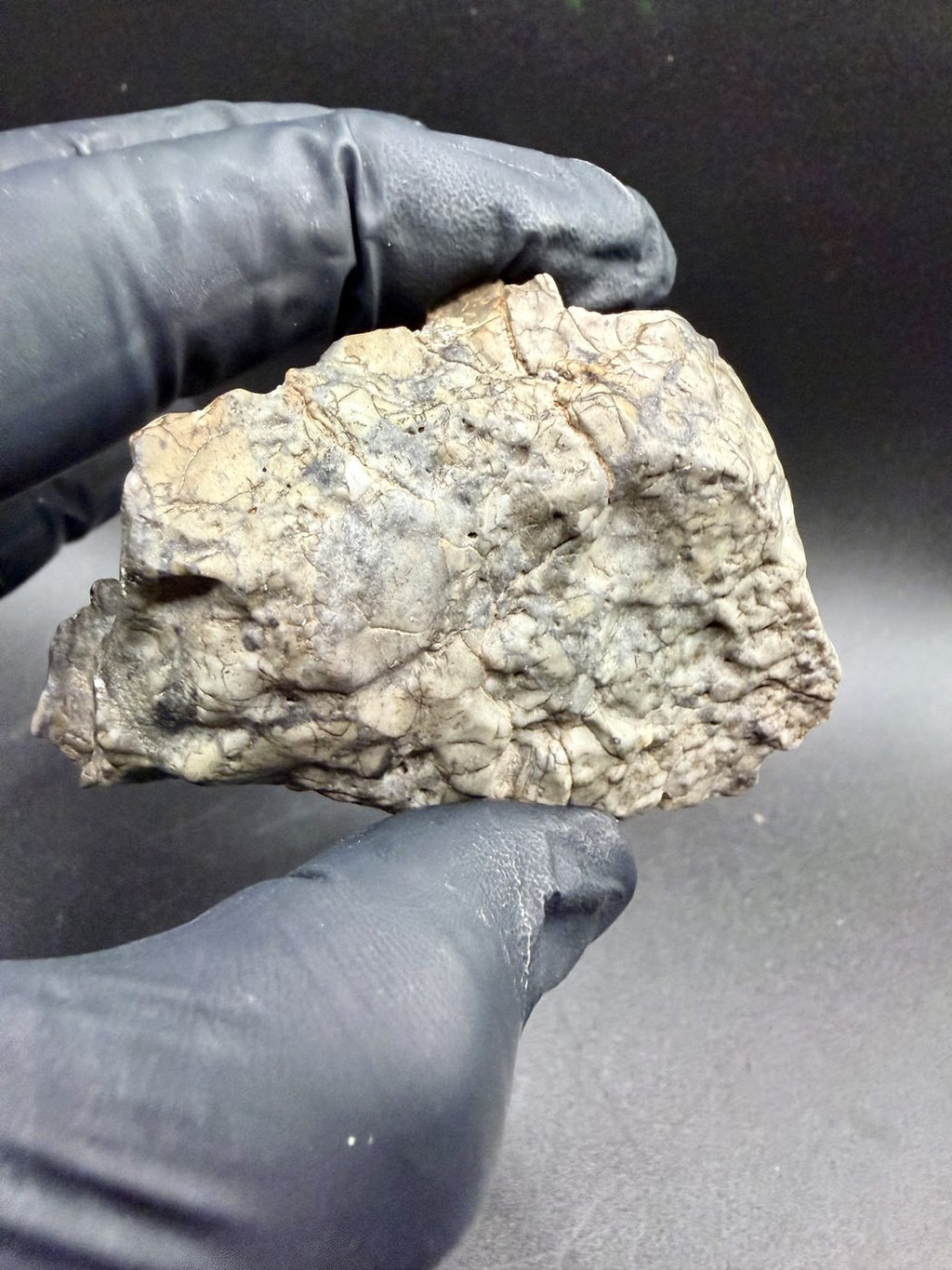 Adrar 013 lunar meteorite held in a gloved hand for scale