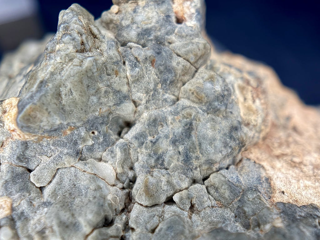 Macro view of angular highland rock fragments in the Adrar 013 melt breccia