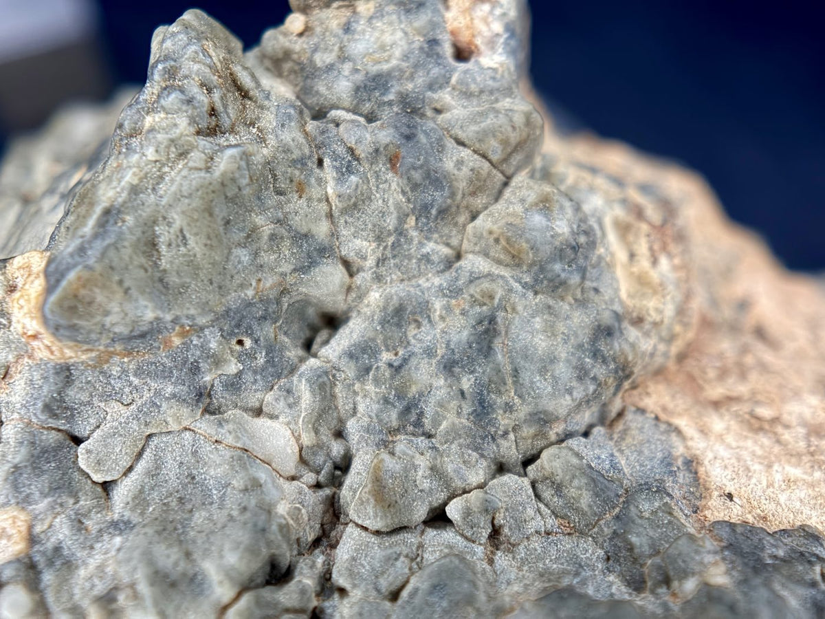 Macro view of angular highland rock fragments in the Adrar 013 melt breccia