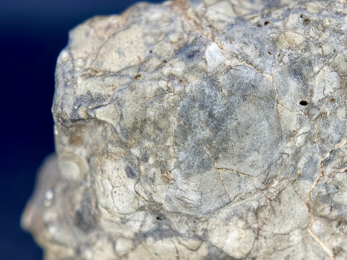 Macro detail of an angular clast boundary in the Adrar 013 lunar melt breccia