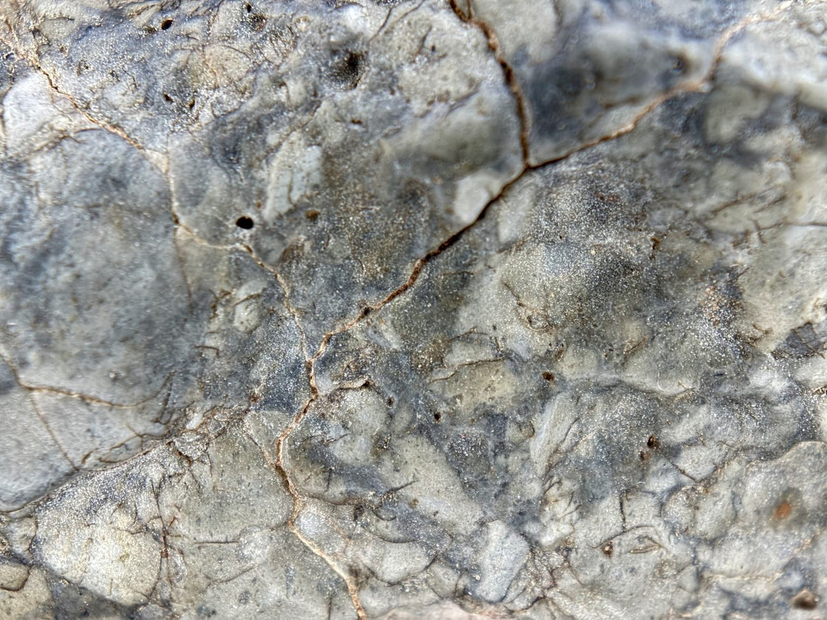 Macro view of Adrar 013 clasts set in the anorthite-rich melt matrix