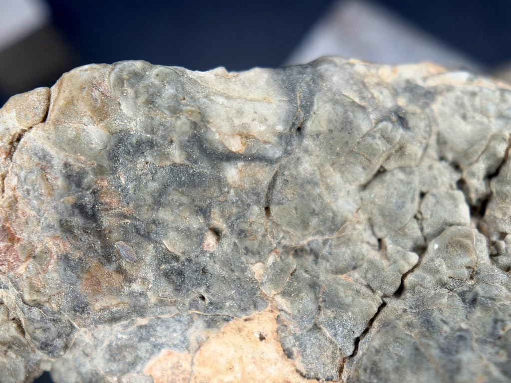 Macro view of a darker clast within the Adrar 013 impact melt matrix