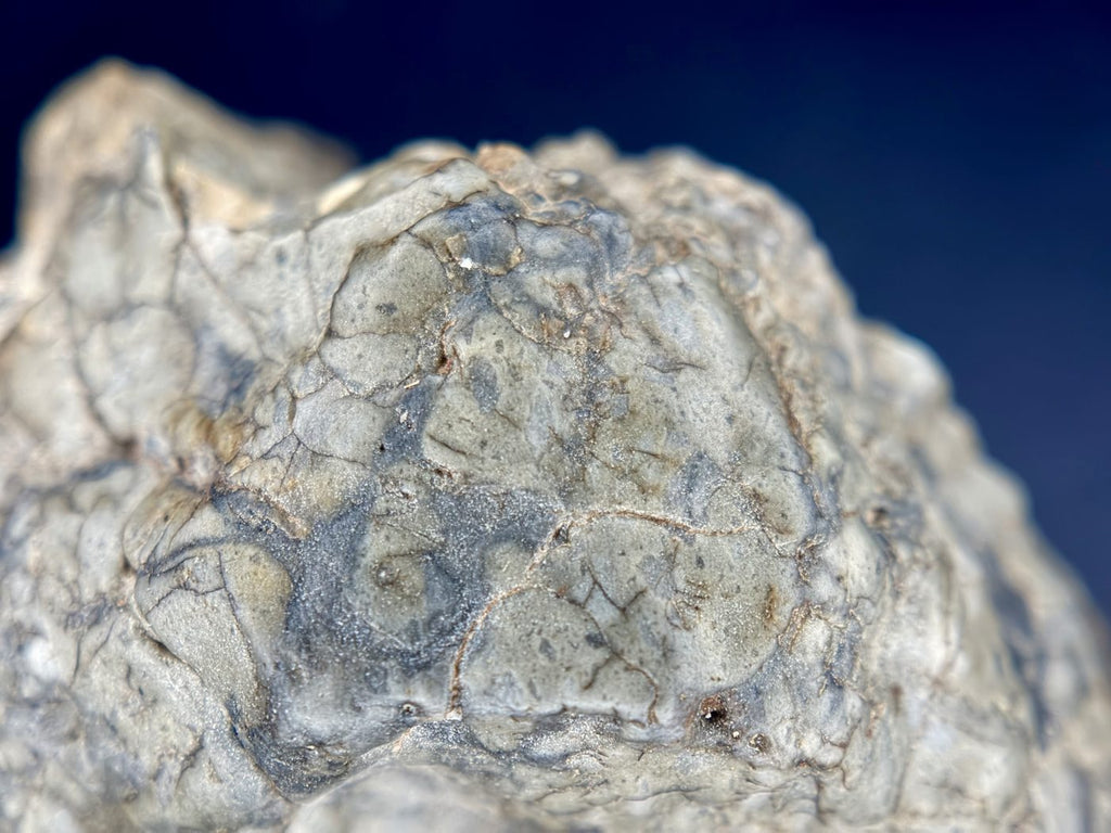 Macro detail of the fine grey melt matrix between clasts in Adrar 013