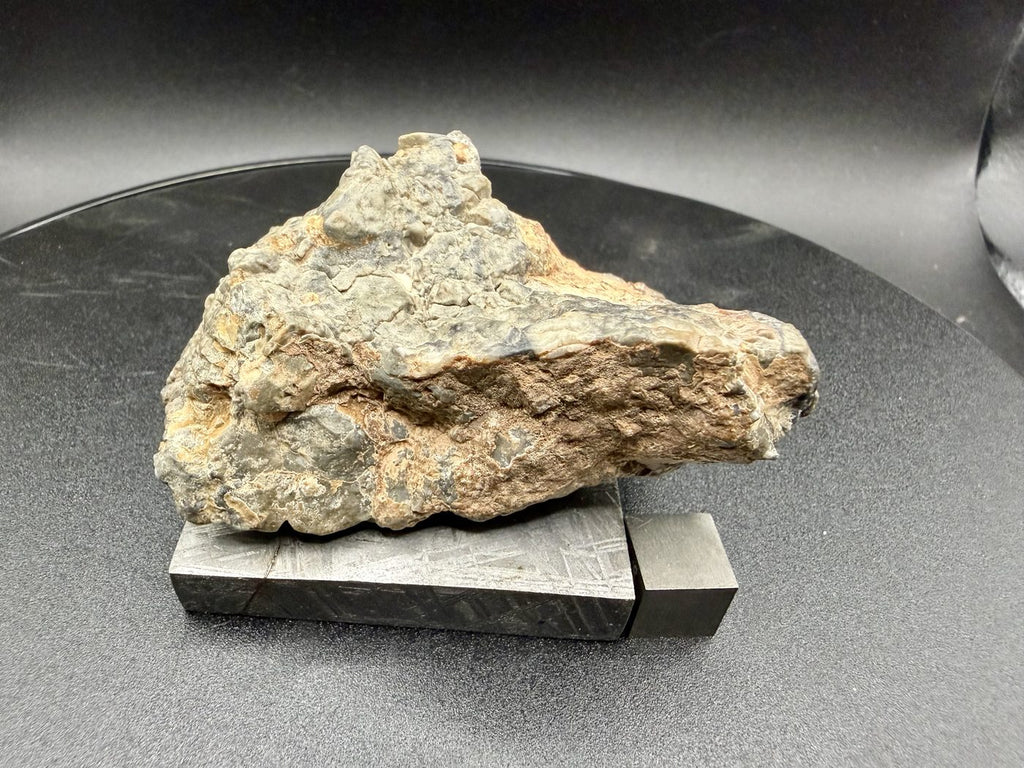 Profile view of the Adrar 013 lunar meteorite showing thickness and the crusted lower margin