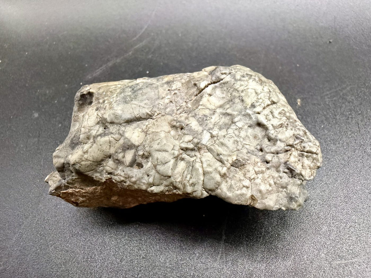 Second face of the Adrar 013 lunar meteorite showing angular highland clasts in impact melt