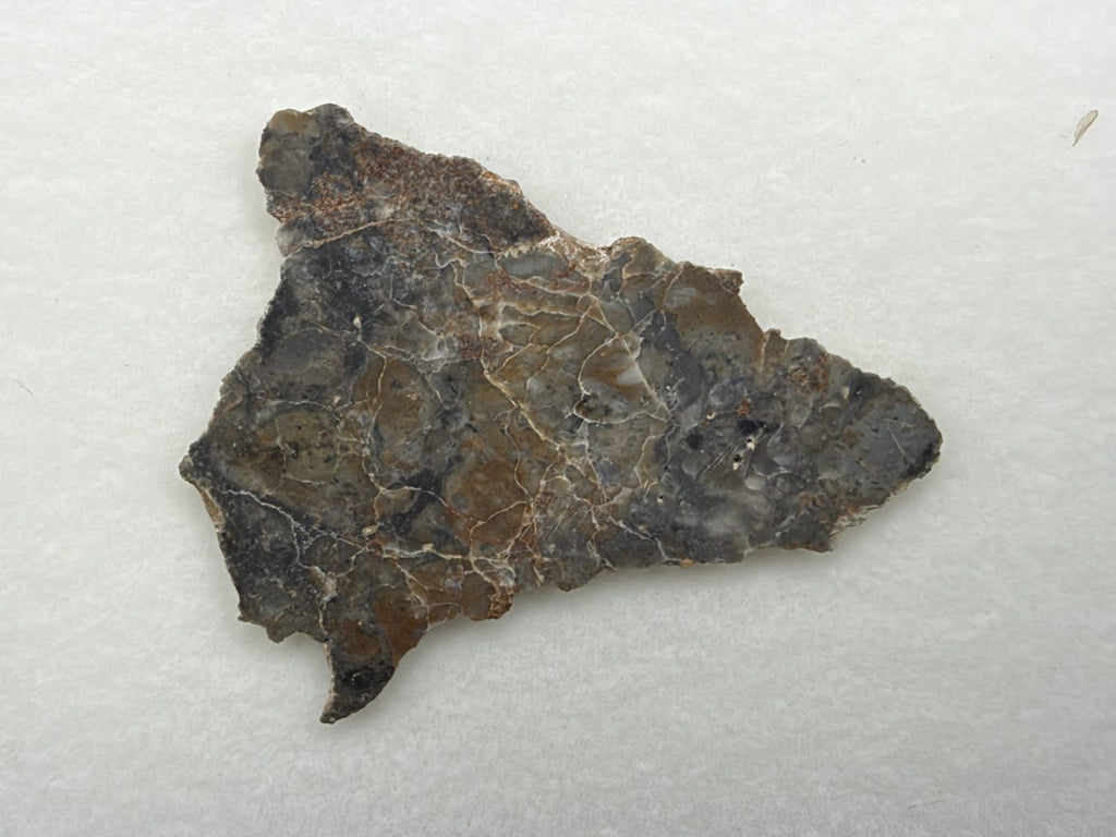 Adrar 013 lunar melt breccia slice, 3.00 g, polished face with gray and tan clasts, white veining and orange-brown staining along the upper edge, on white background