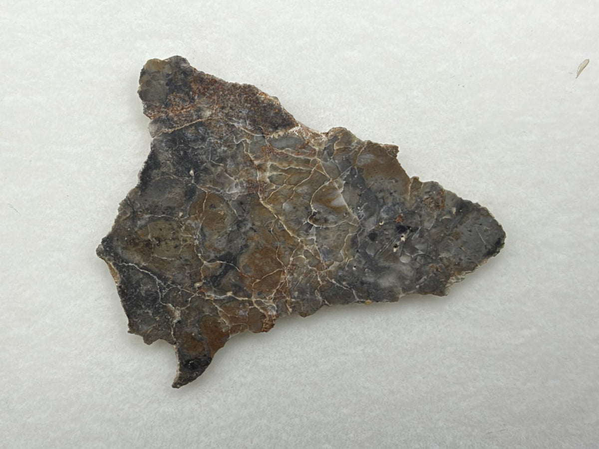 Adrar 013 lunar melt breccia slice, 3.00 g, polished face with gray and tan clasts, white veining and orange-brown staining along the upper edge, on white background